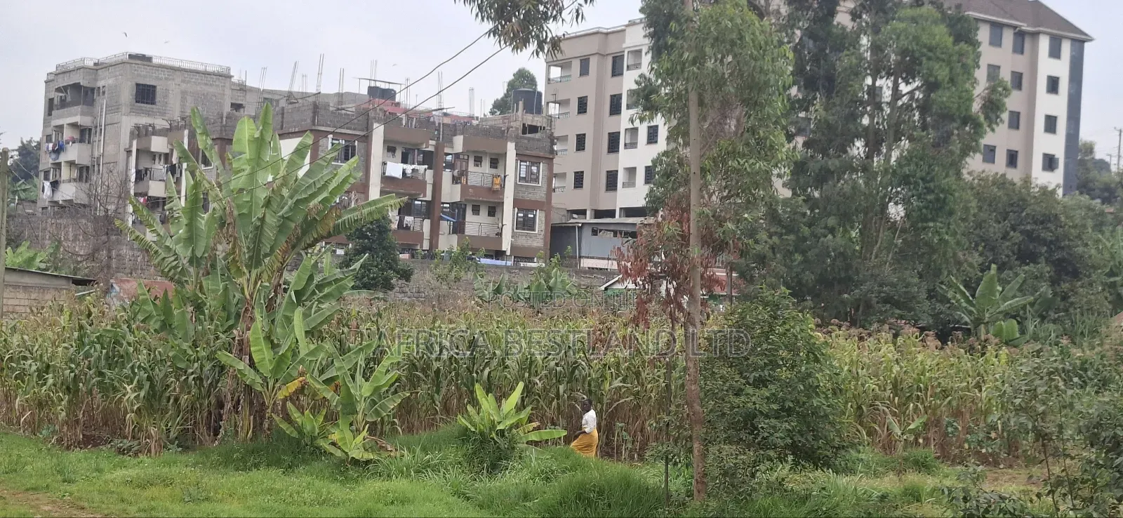 62x100 Available Plot for Sale in Gitaru in Kabete