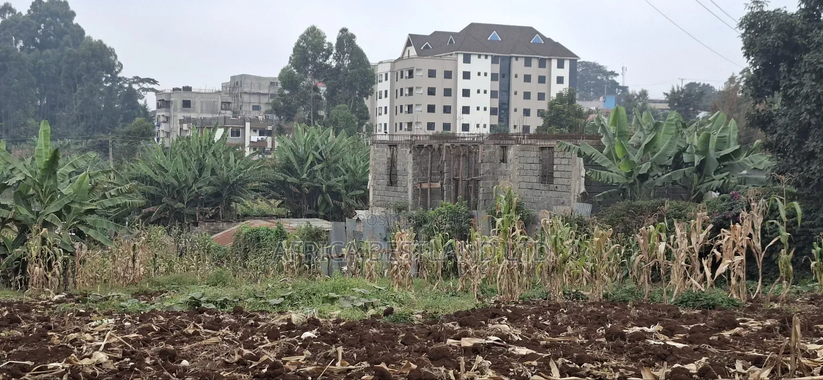 62x100 Available Plot for Sale in Gitaru in Kabete