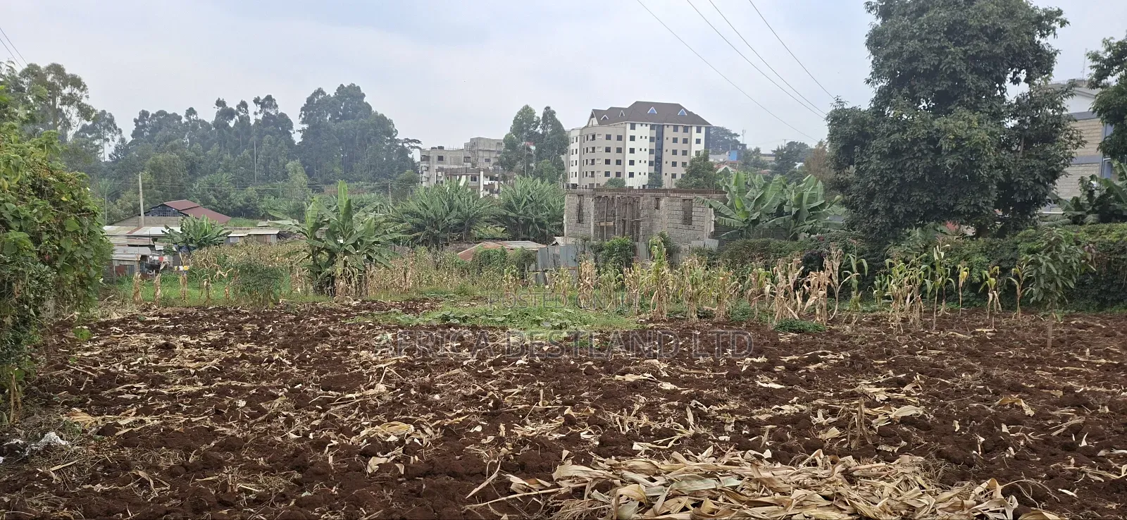 62x100 Available Plot for Sale in Gitaru in Kabete