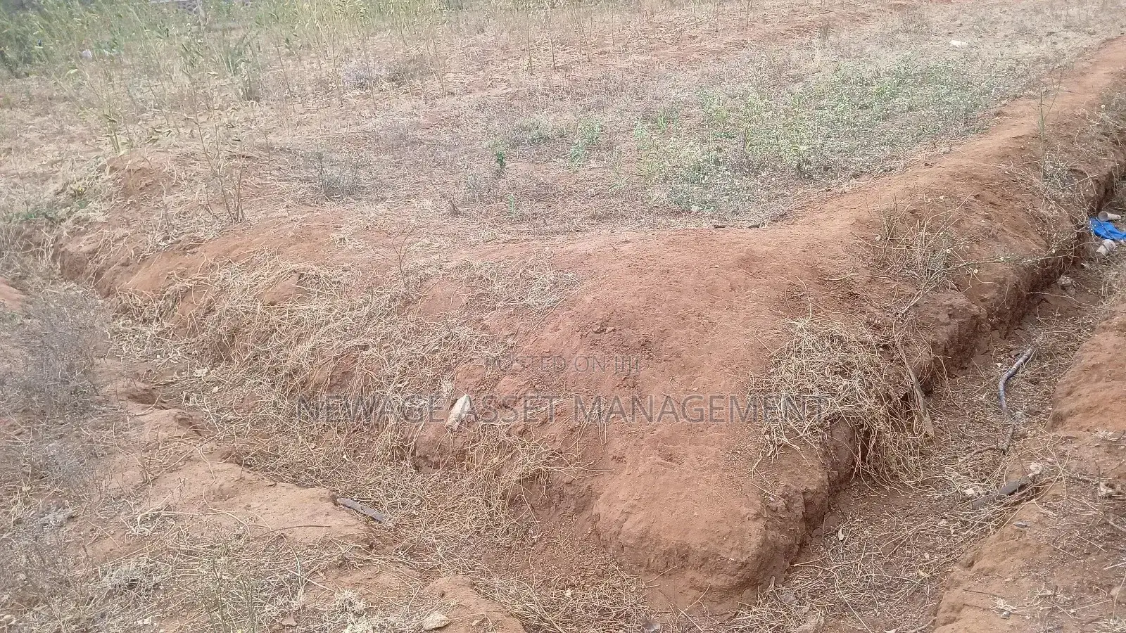 Land for Sale in Muthaiga, Makindu in Makindu