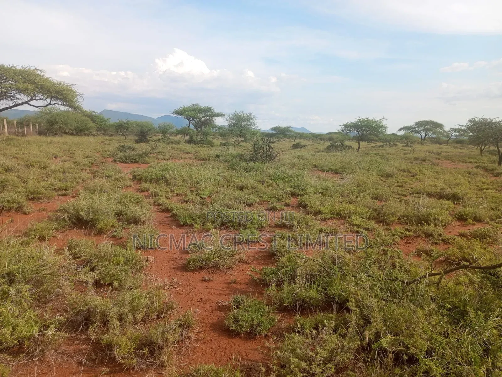 Plots for Sale Along Ngong-Suswa Road in Ewaso Kendong