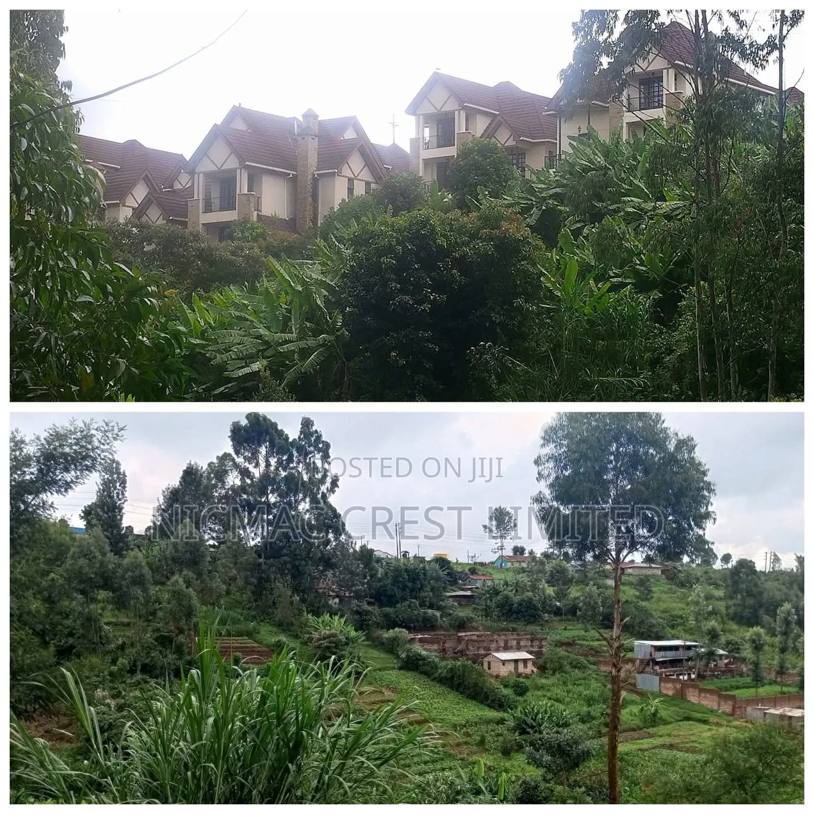 Prime 50 by 100 Plots for Sale in Kiambu / Kiambu