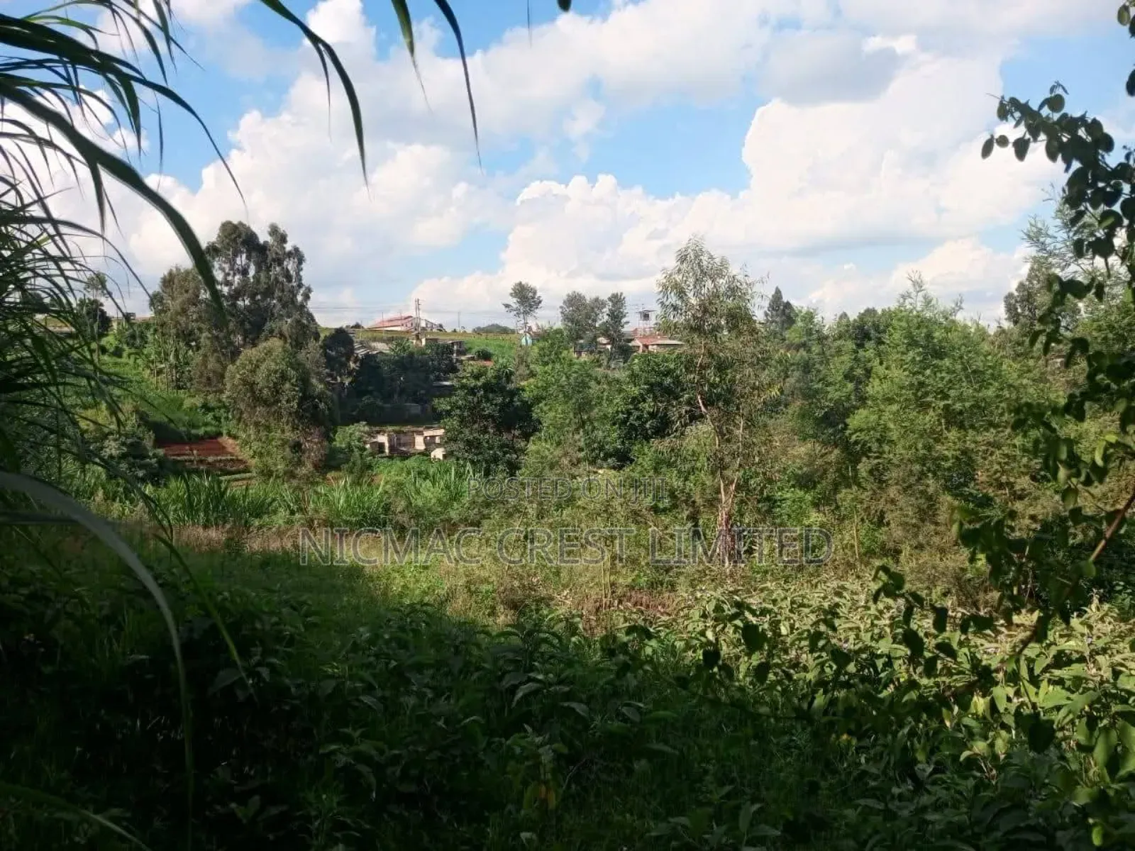 Prime 50 by 100 Plots for Sale in Kiambu / Kiambu