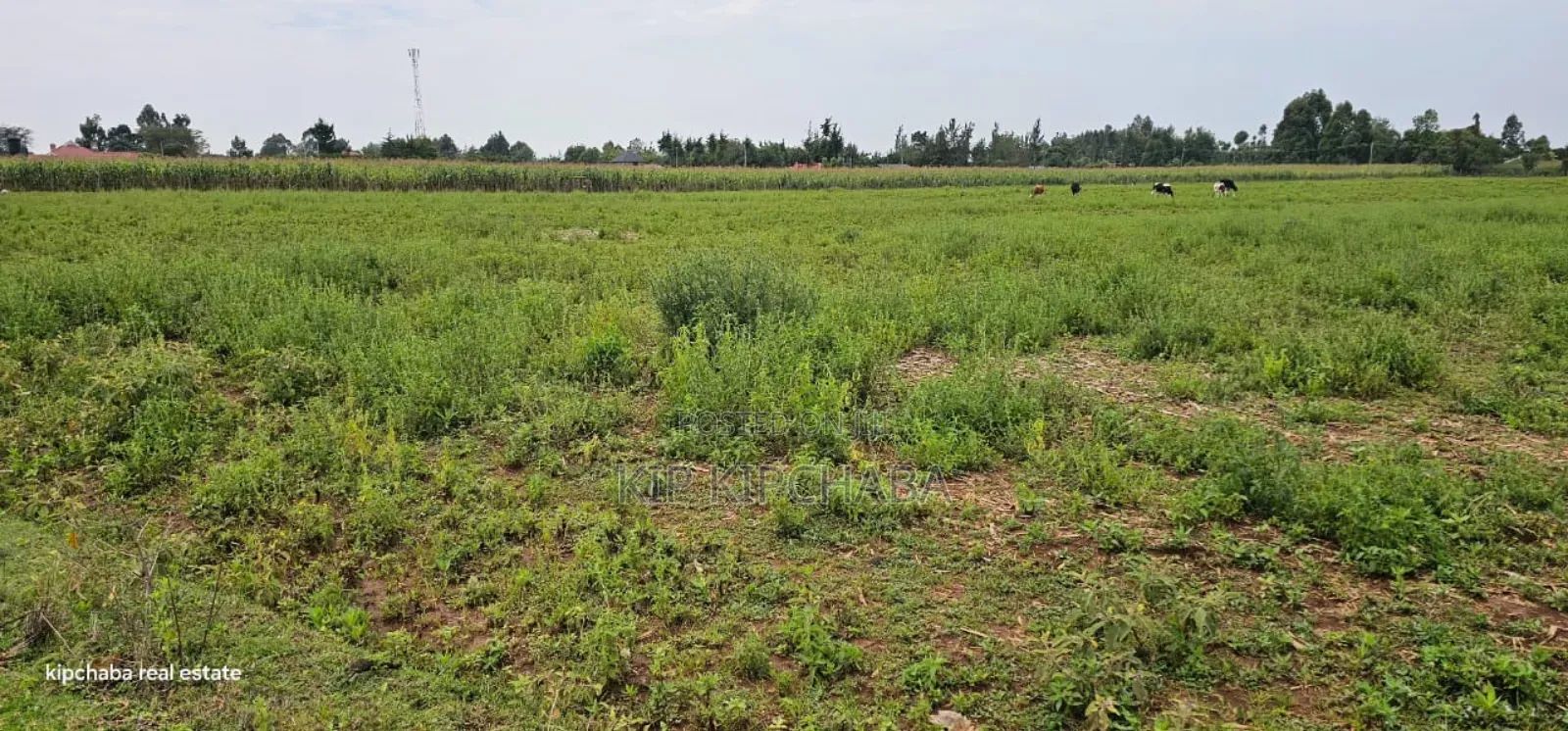 Commercial Plots Touching Highway Illula Eldoret in Illula