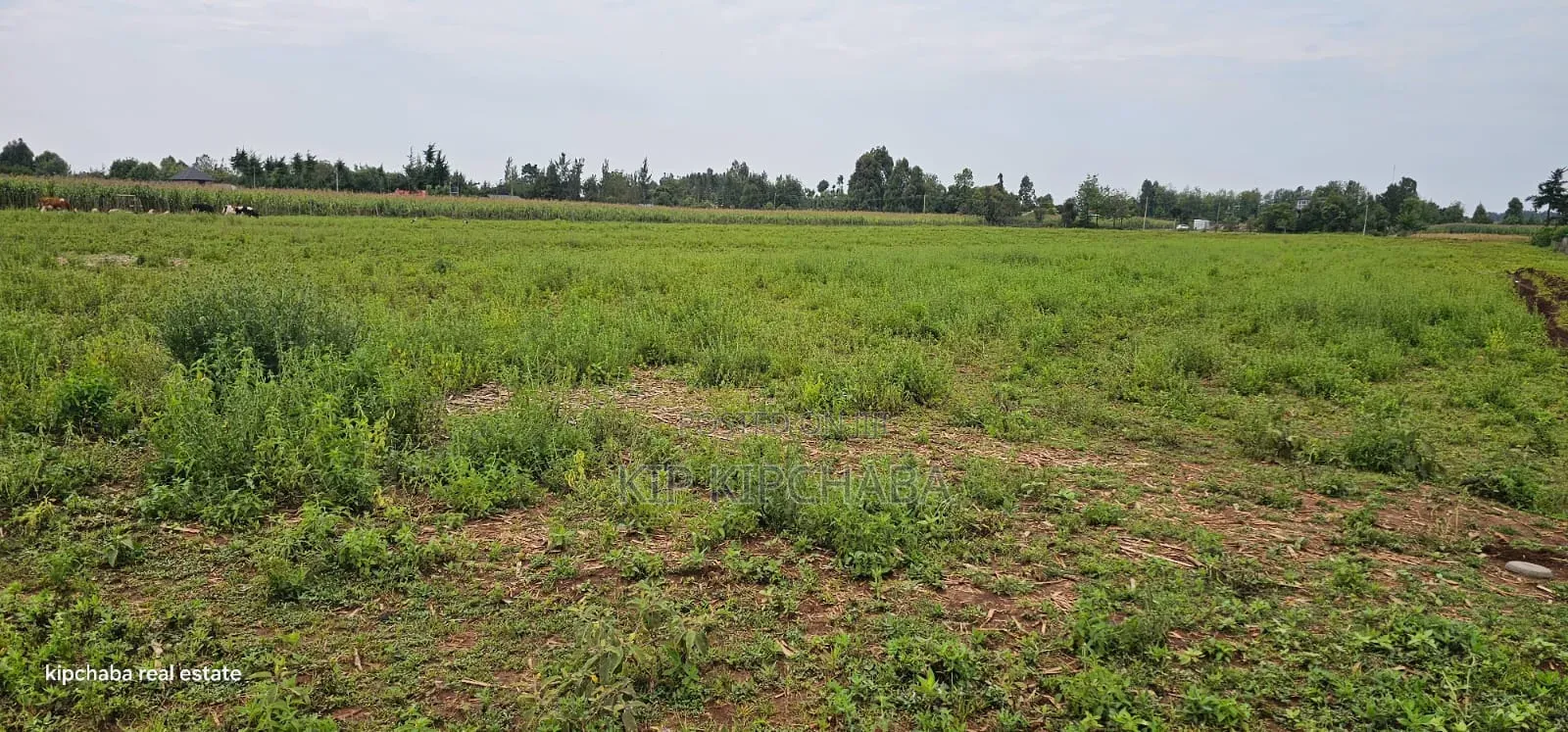 Commercial Plots Touching Highway Illula Eldoret in Illula