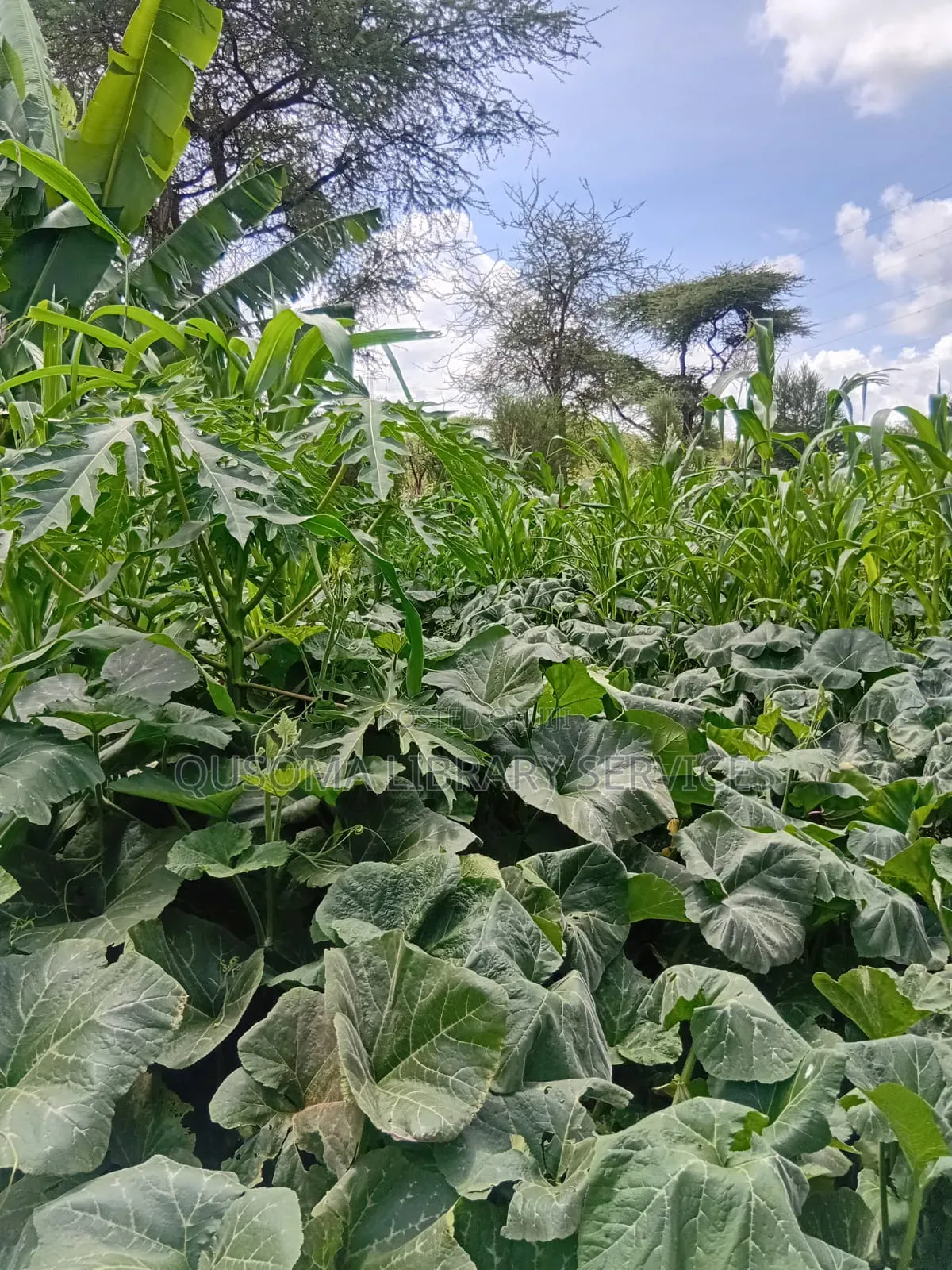 Rare 9.6-Acre Gem, Maili Tisa| Namanga Road, Massive Potential! in Matapato