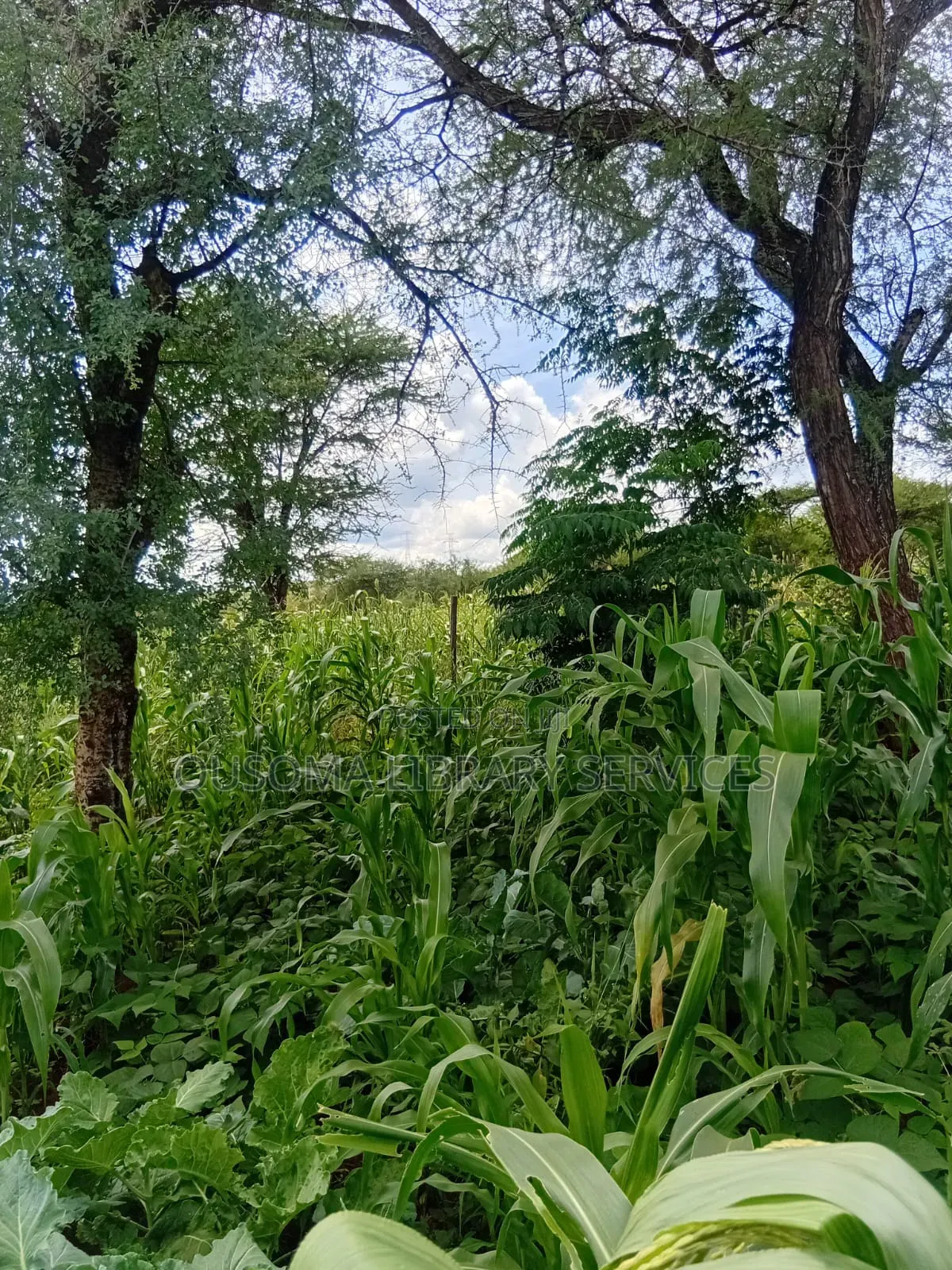 Rare 9.6-Acre Gem, Maili Tisa| Namanga Road, Massive Potential! in Matapato