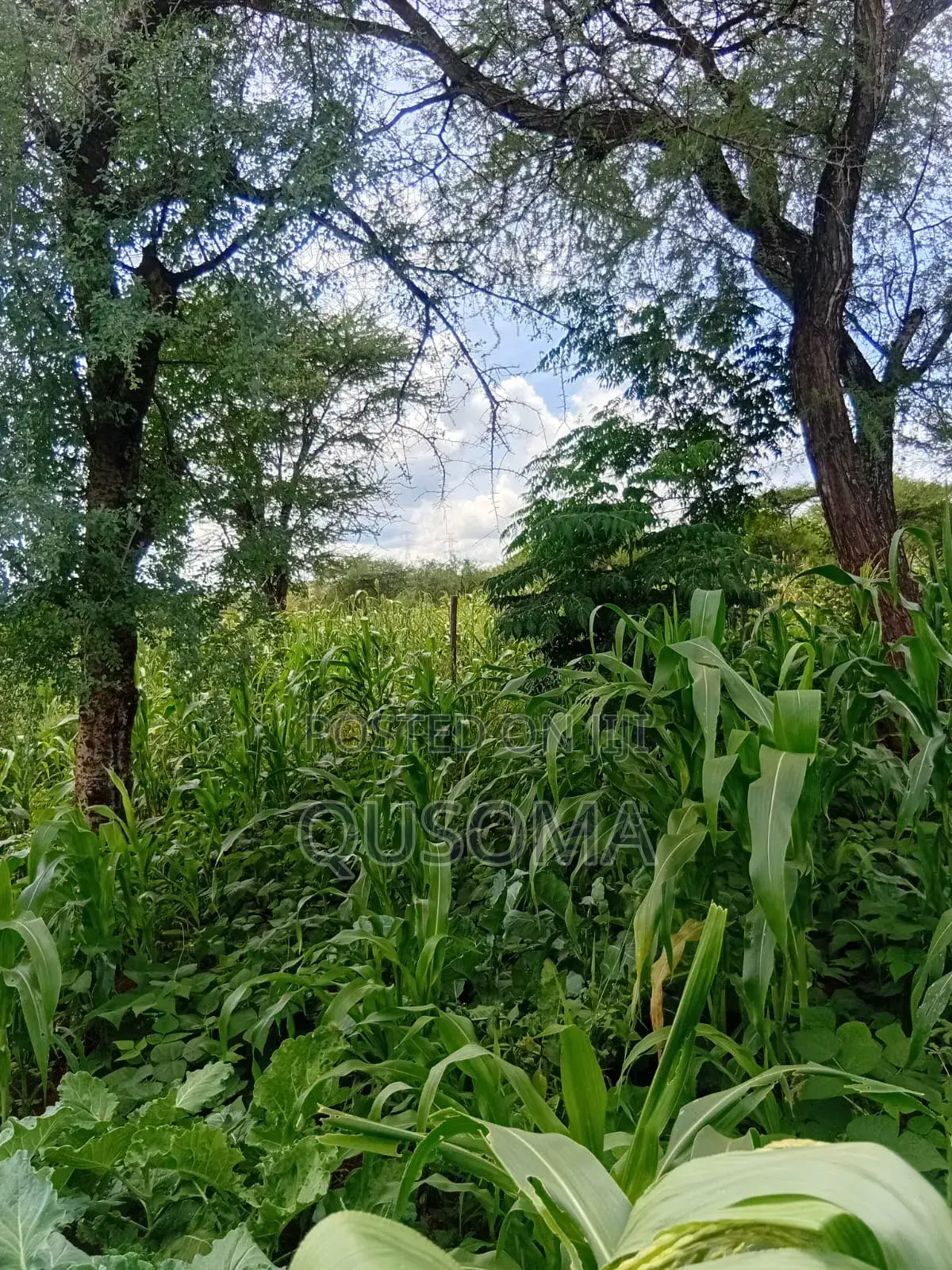 Rare 9.6-Acre Gem, Maili Tisa| Namanga Road, Massive Potential! in Matapato