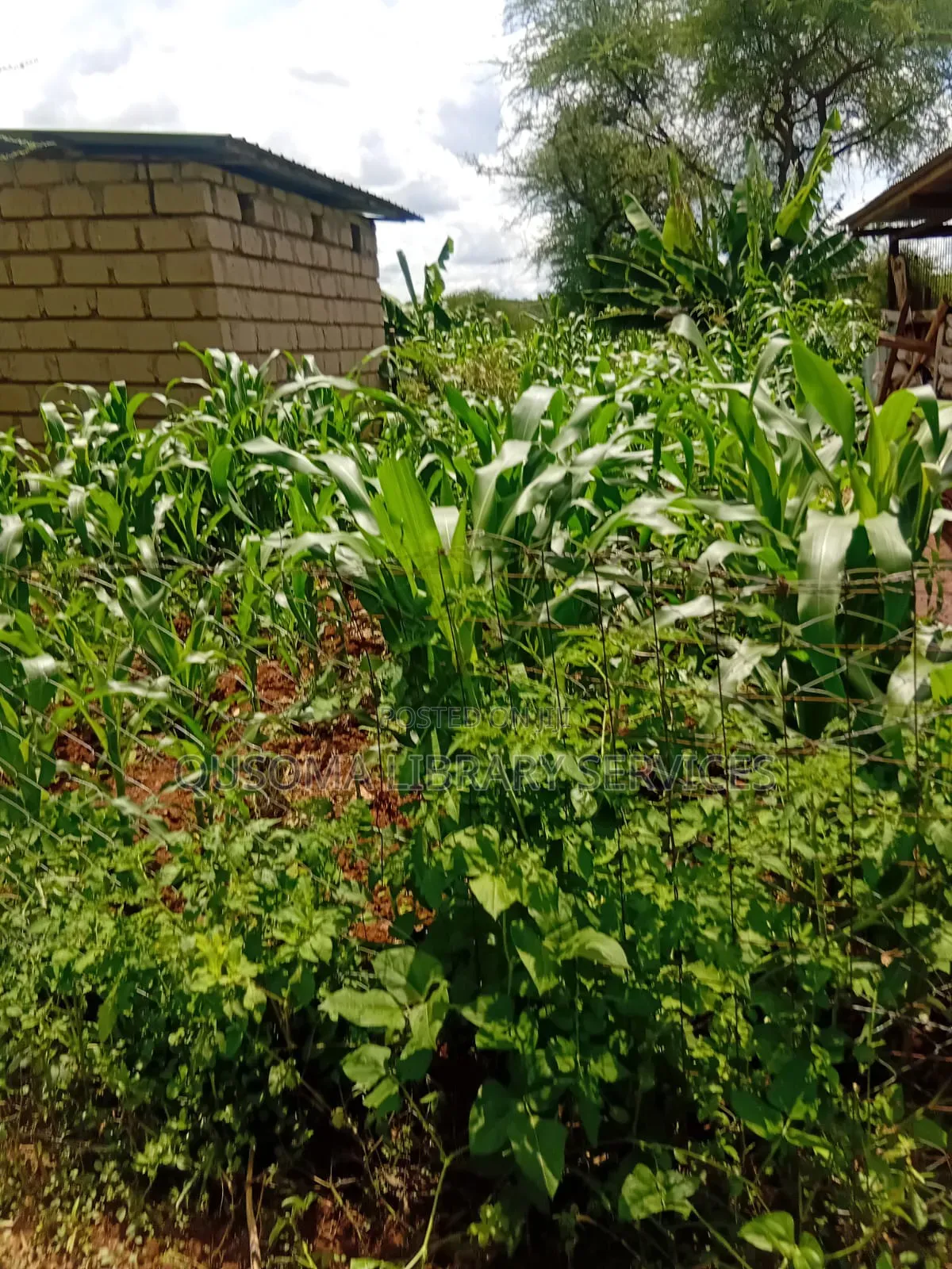 Rare 9.6-Acre Gem, Maili Tisa| Namanga Road, Massive Potential! in Matapato
