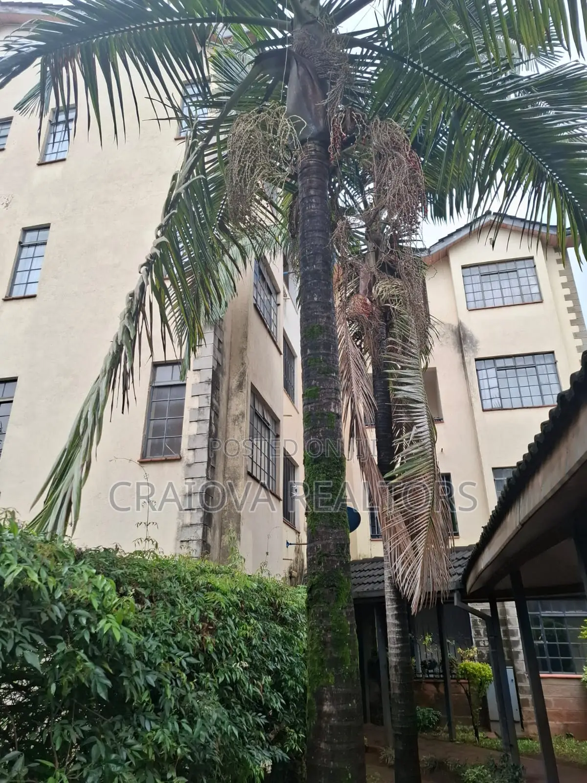 3bdrm Apartment in Valley Arcade for rent in Valley Arcade