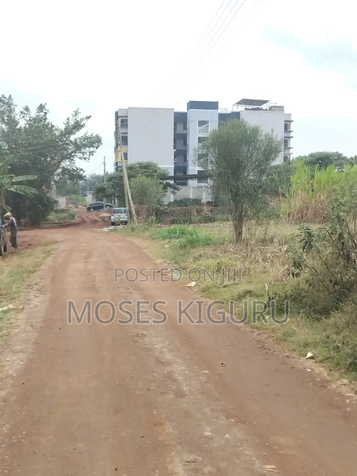 Mugutha Commercial 50x100 in Ruiru