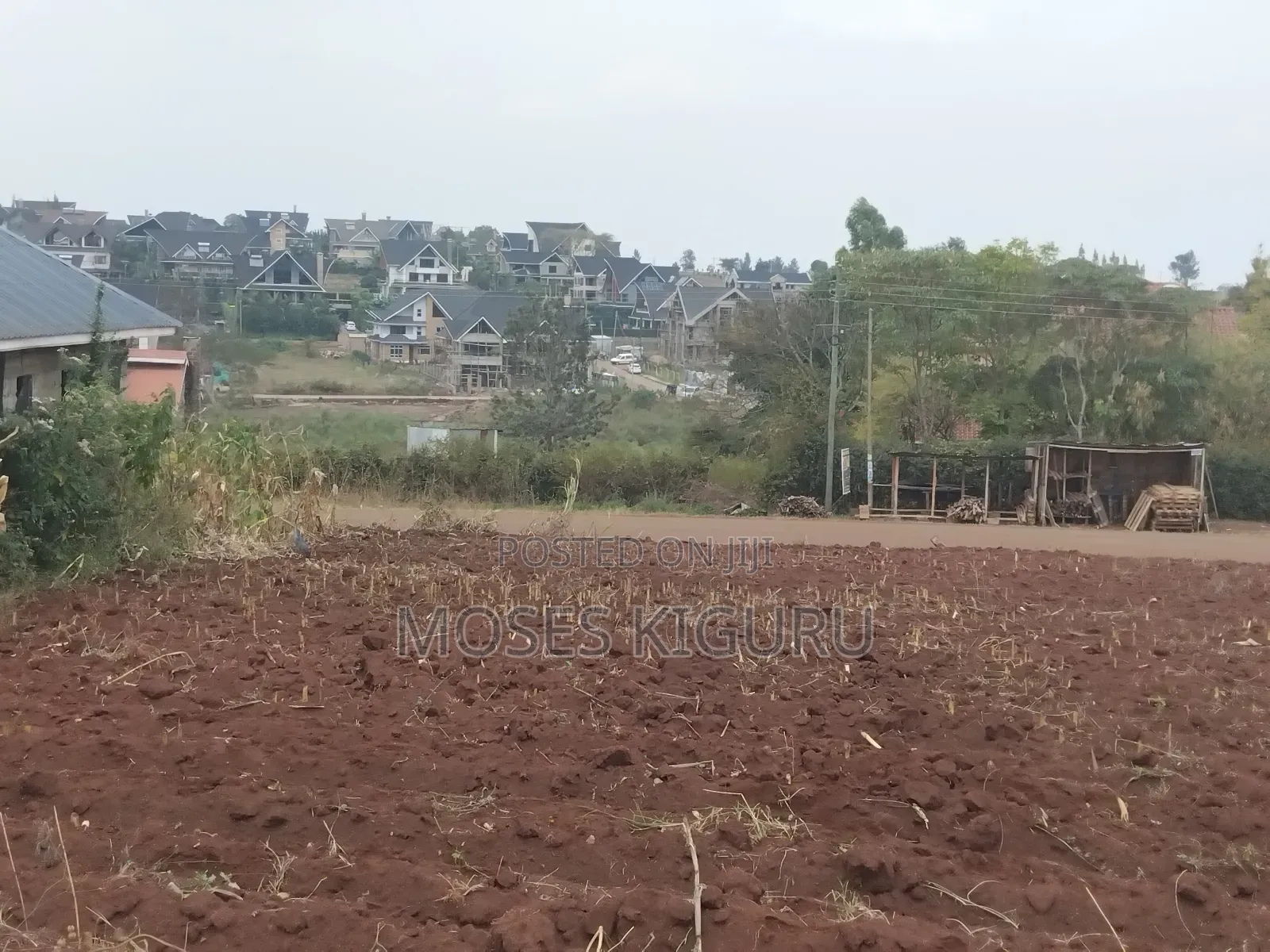 Mugutha Commercial 50x100 in Ruiru