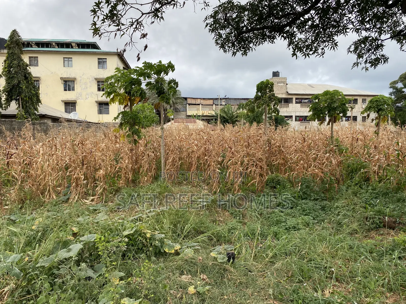 1/4 Acre Plot for Sale in Kongowea Prime for Development in Nyali