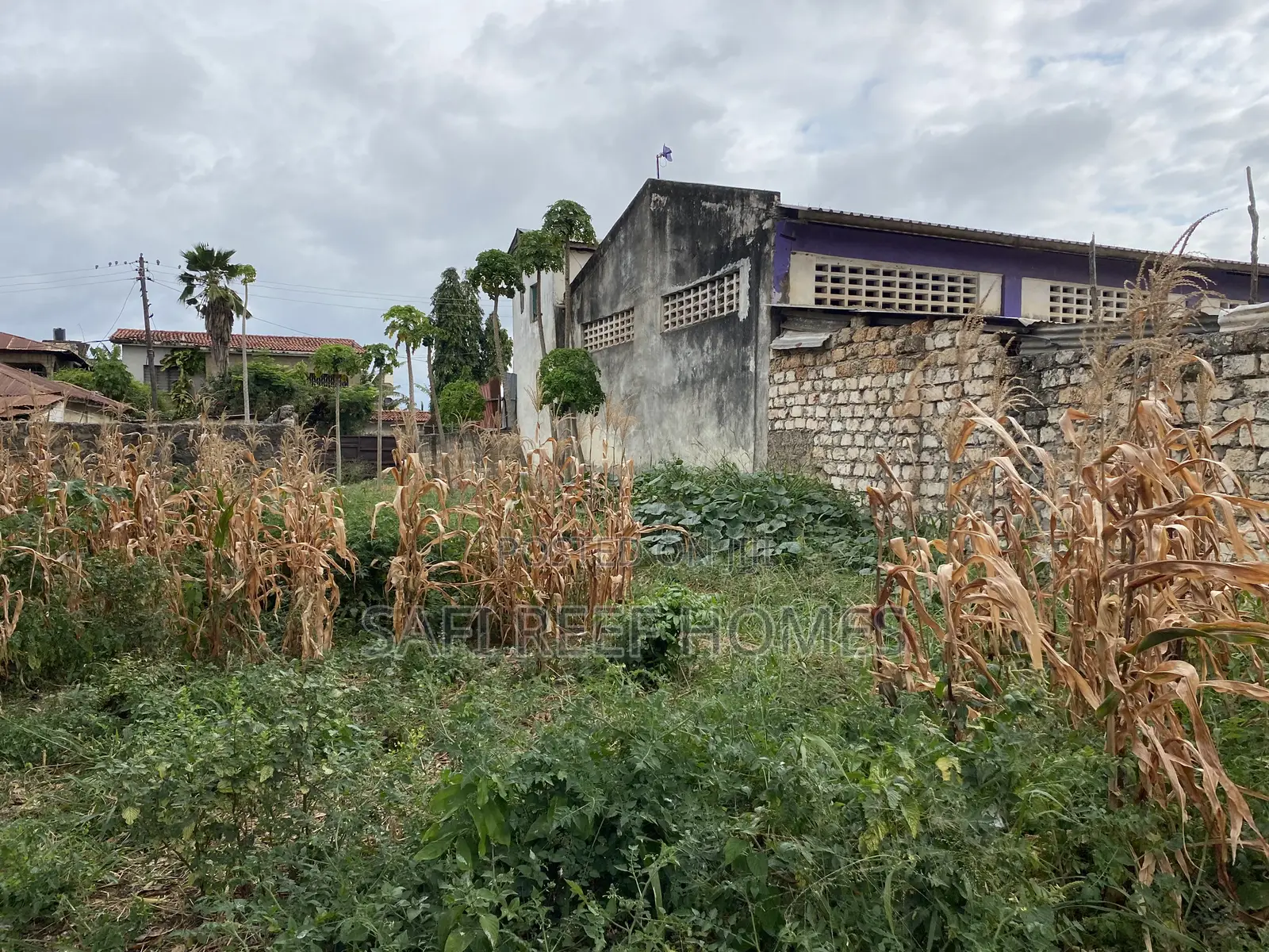 1/4 Acre Plot for Sale in Kongowea Prime for Development in Nyali
