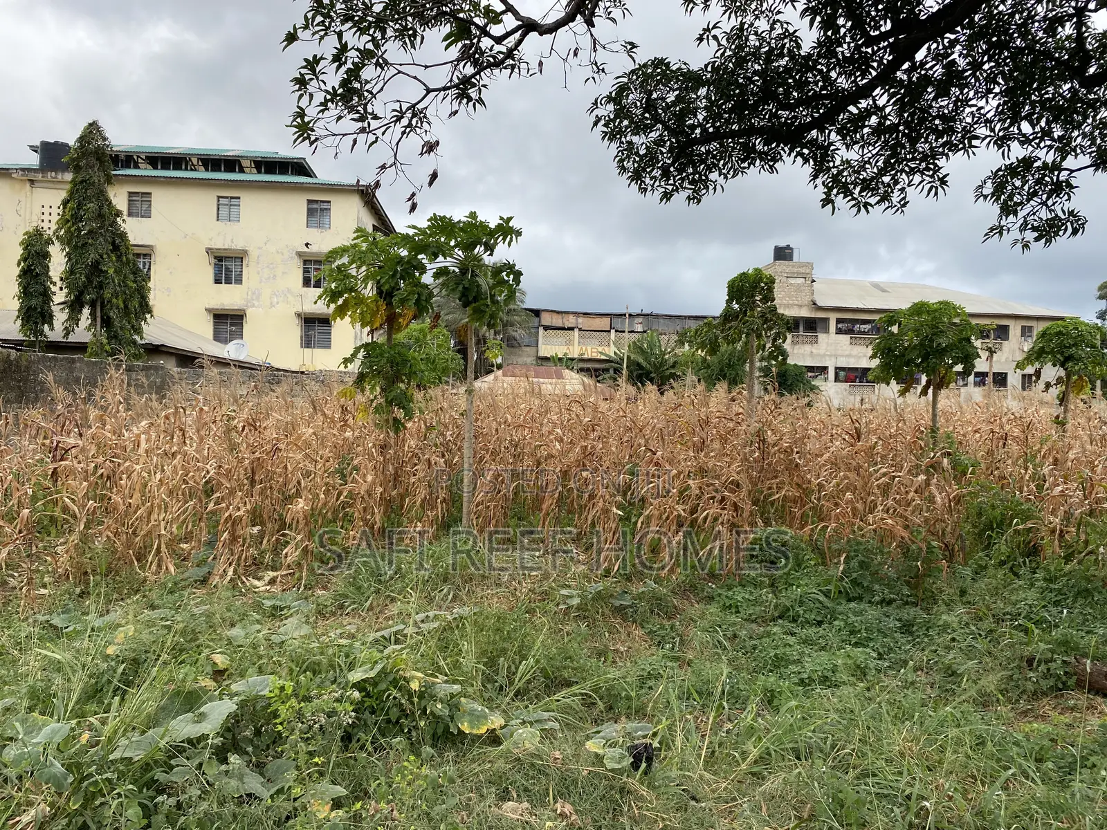 1/4 Acre Plot for Sale in Kongowea Prime for Development in Nyali