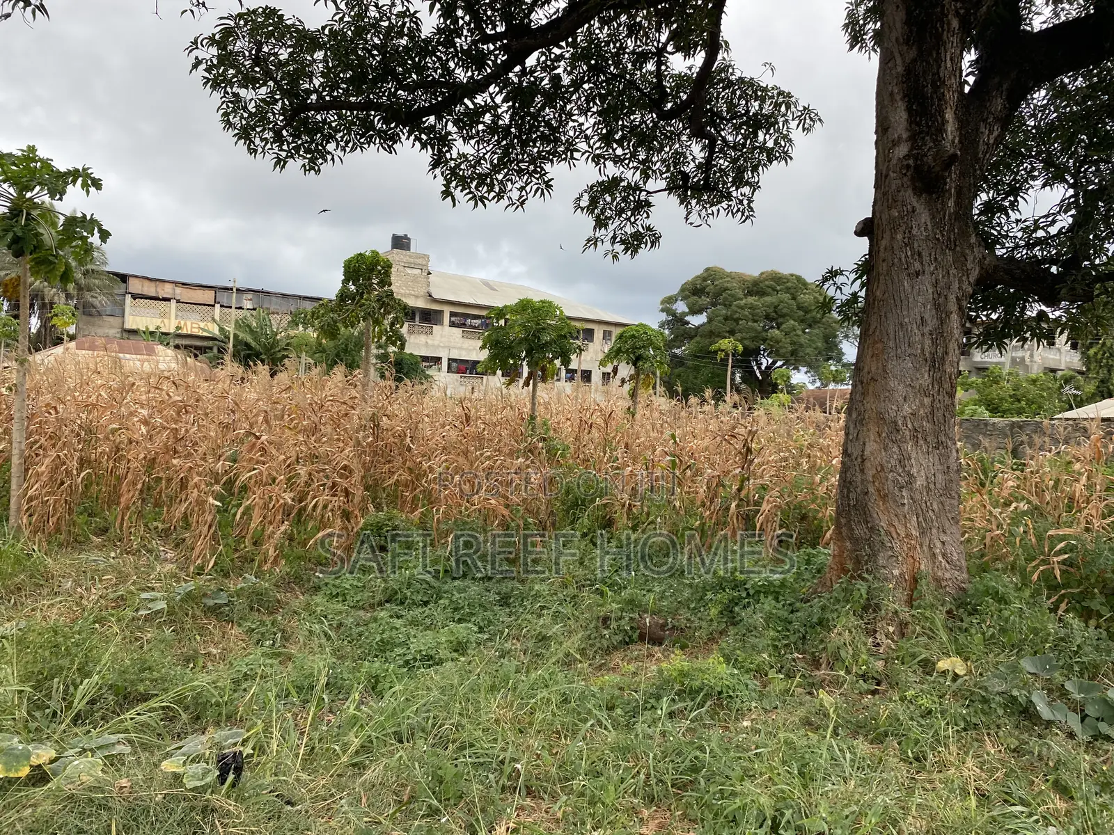 1/4 Acre Plot for Sale in Kongowea Prime for Development in Nyali