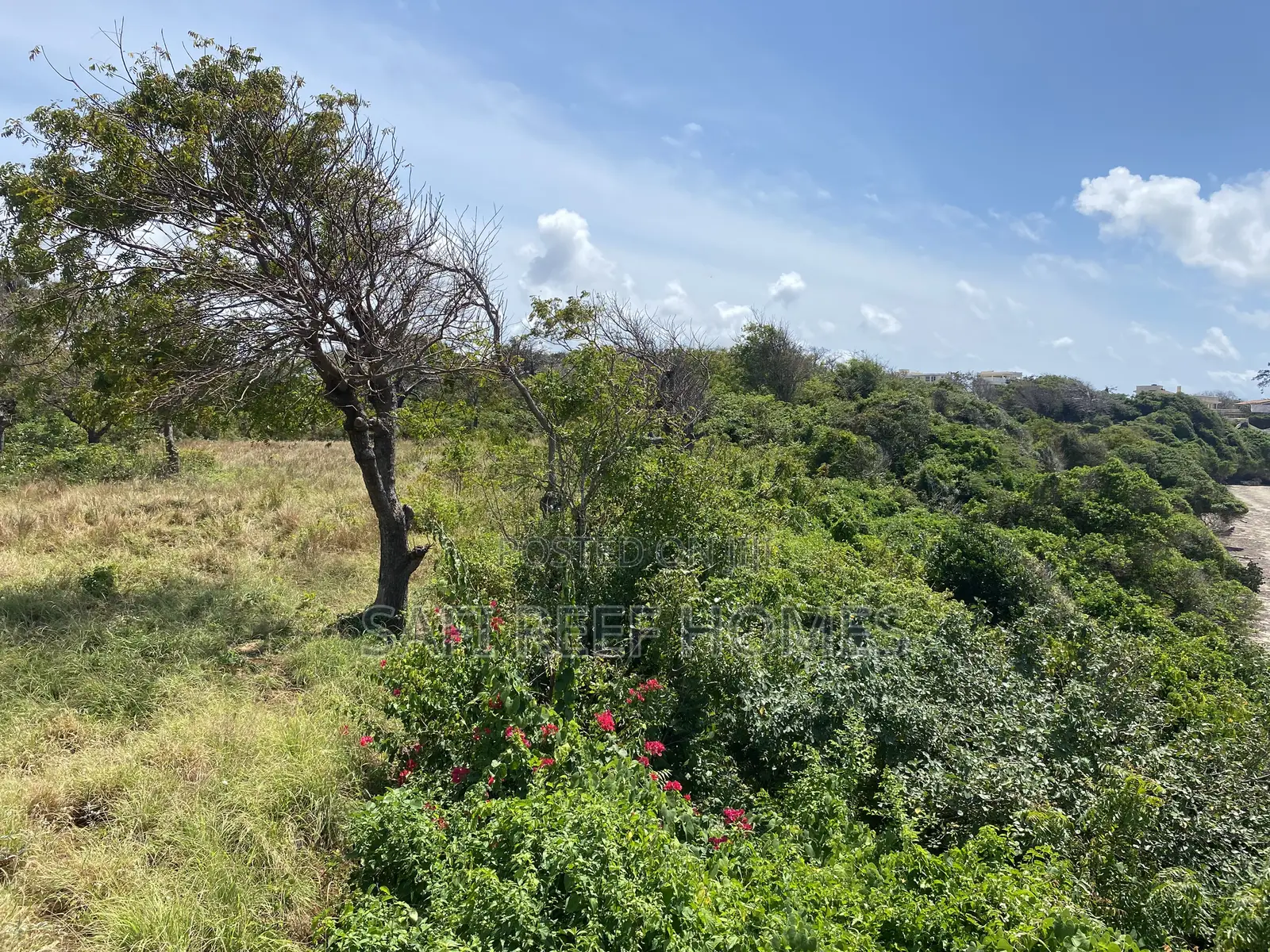 21 Acres Beach Plot in Mombasa for Sale Idea for Hotel in Shanzu
