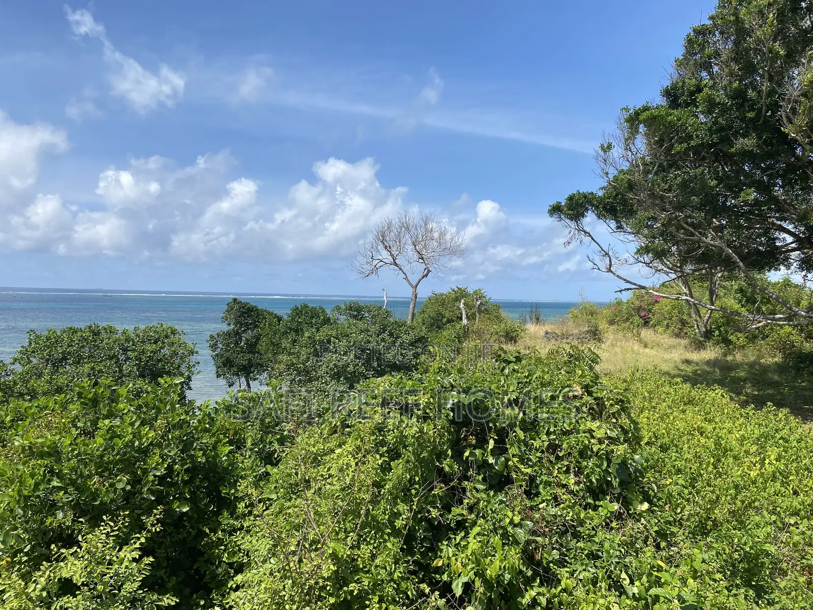 21 Acres Beach Plot in Mombasa for Sale Idea for Hotel in Shanzu