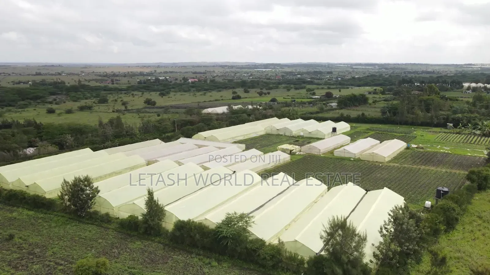 Plains 2 Kitengela, 50 by 100ft Plots, in Kitengela