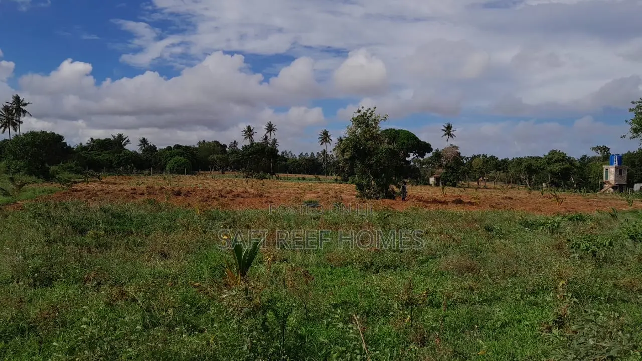13 Acres for Sale in Tezo Kilifi County Close to Majaoni in Kilifi North