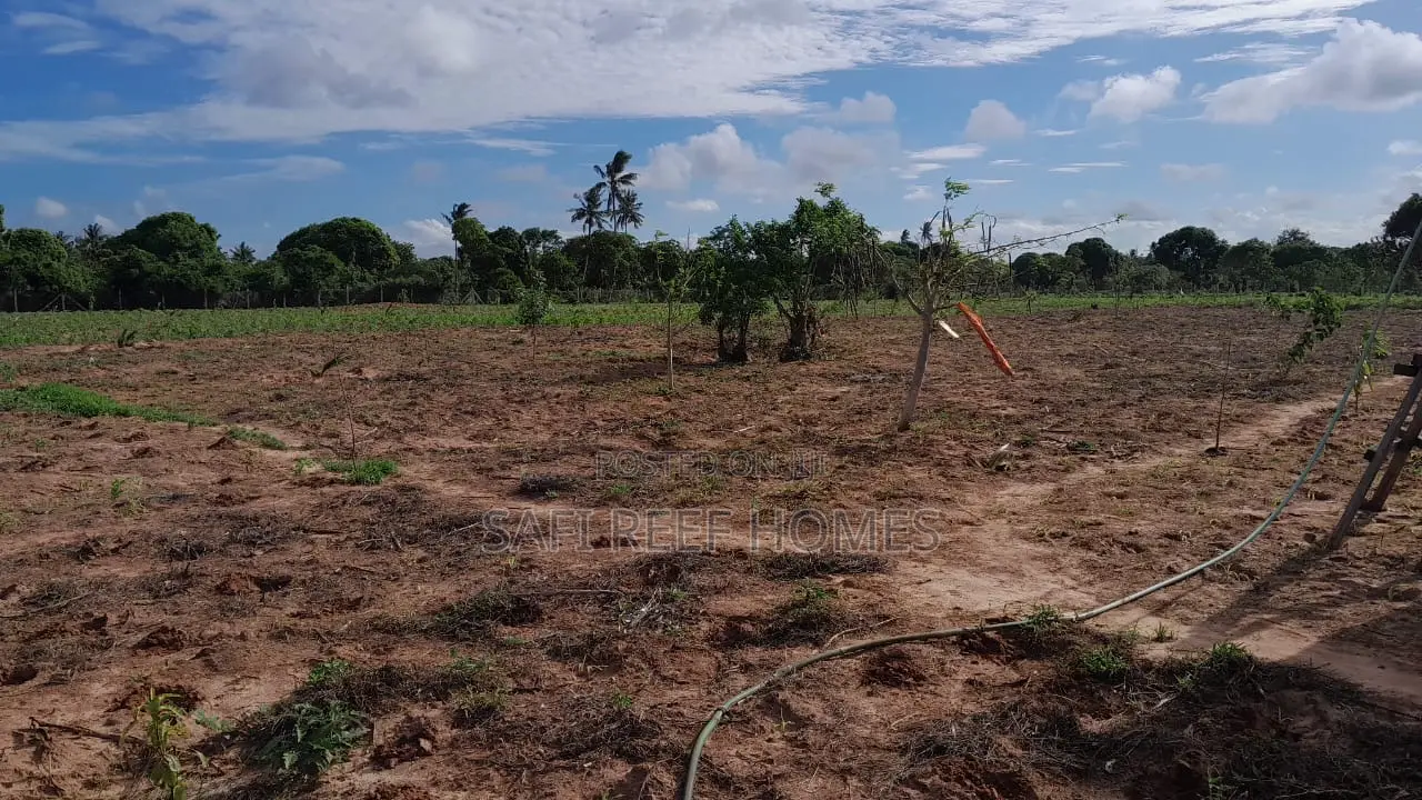 13 Acres for Sale in Tezo Kilifi County Close to Majaoni in Kilifi North