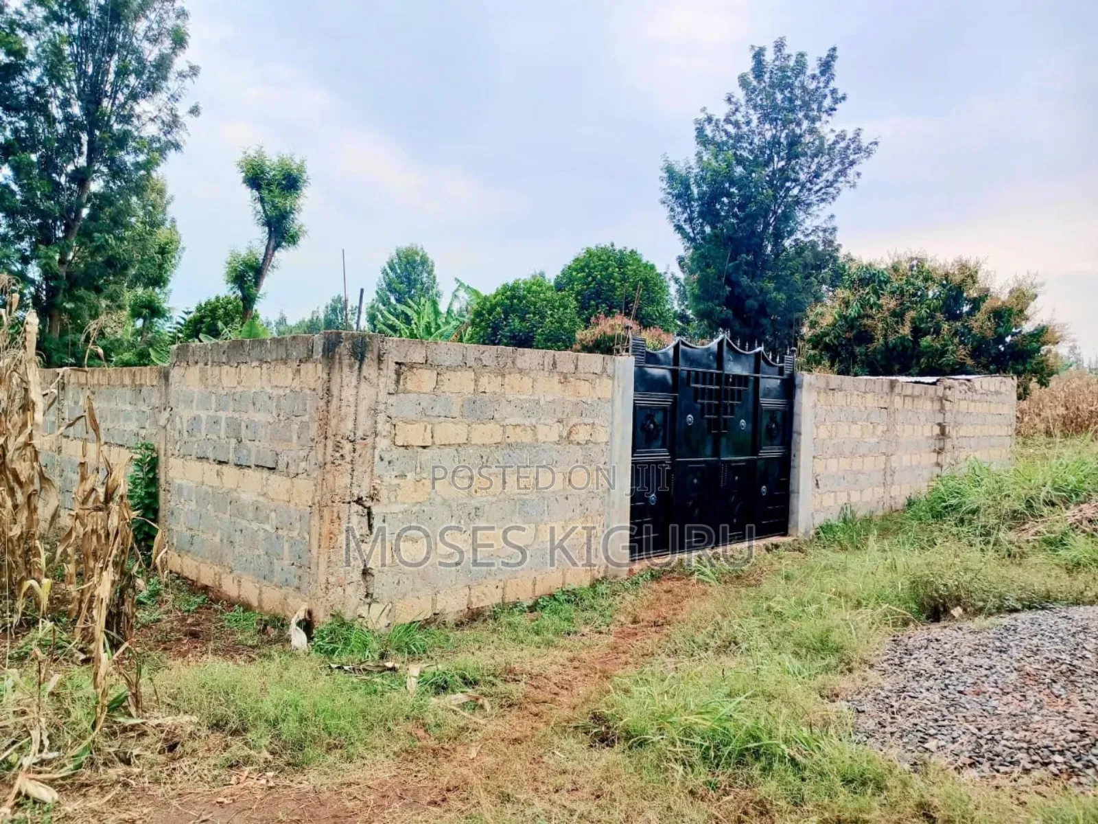 Mugutha 40x80 Plot With Perimeter Wall. in Juja