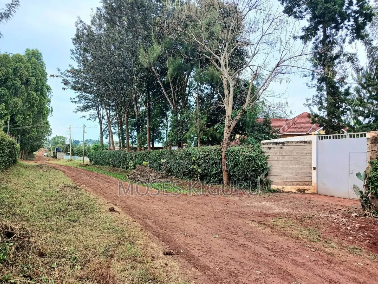 Mugutha 40x80 Plot With Perimeter Wall. in Juja