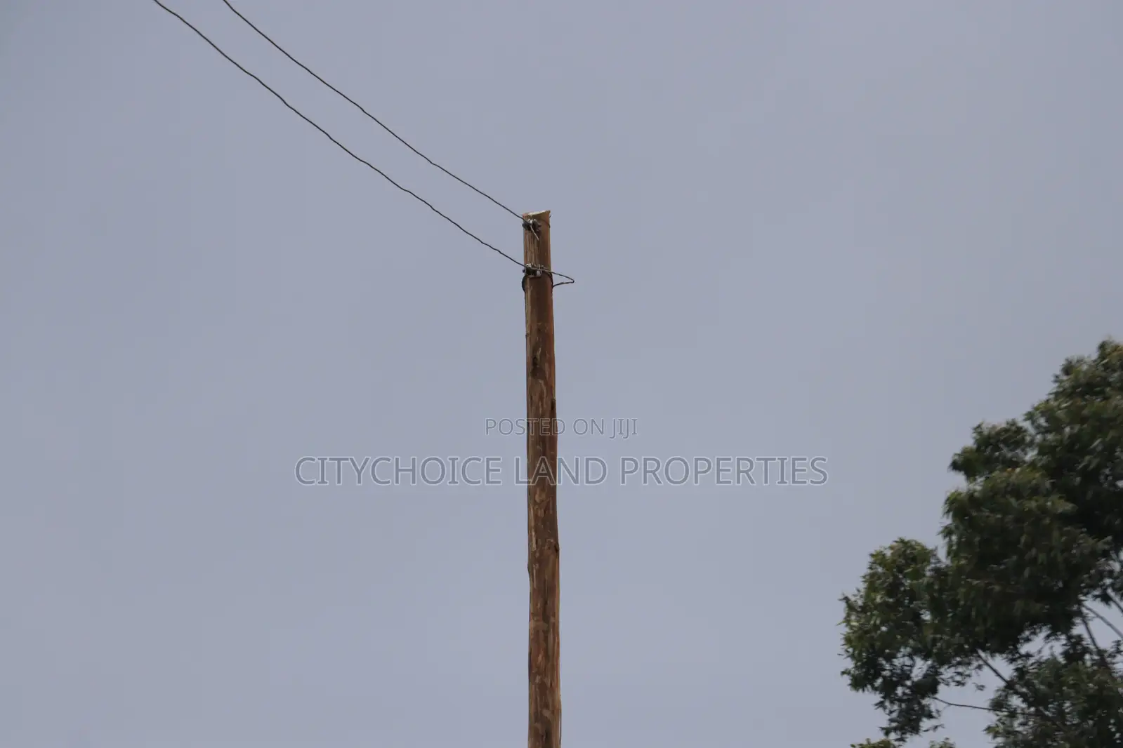Hot Deal Yo Get a 50x100 Plot in Kikuyu Prime Estate in Karai