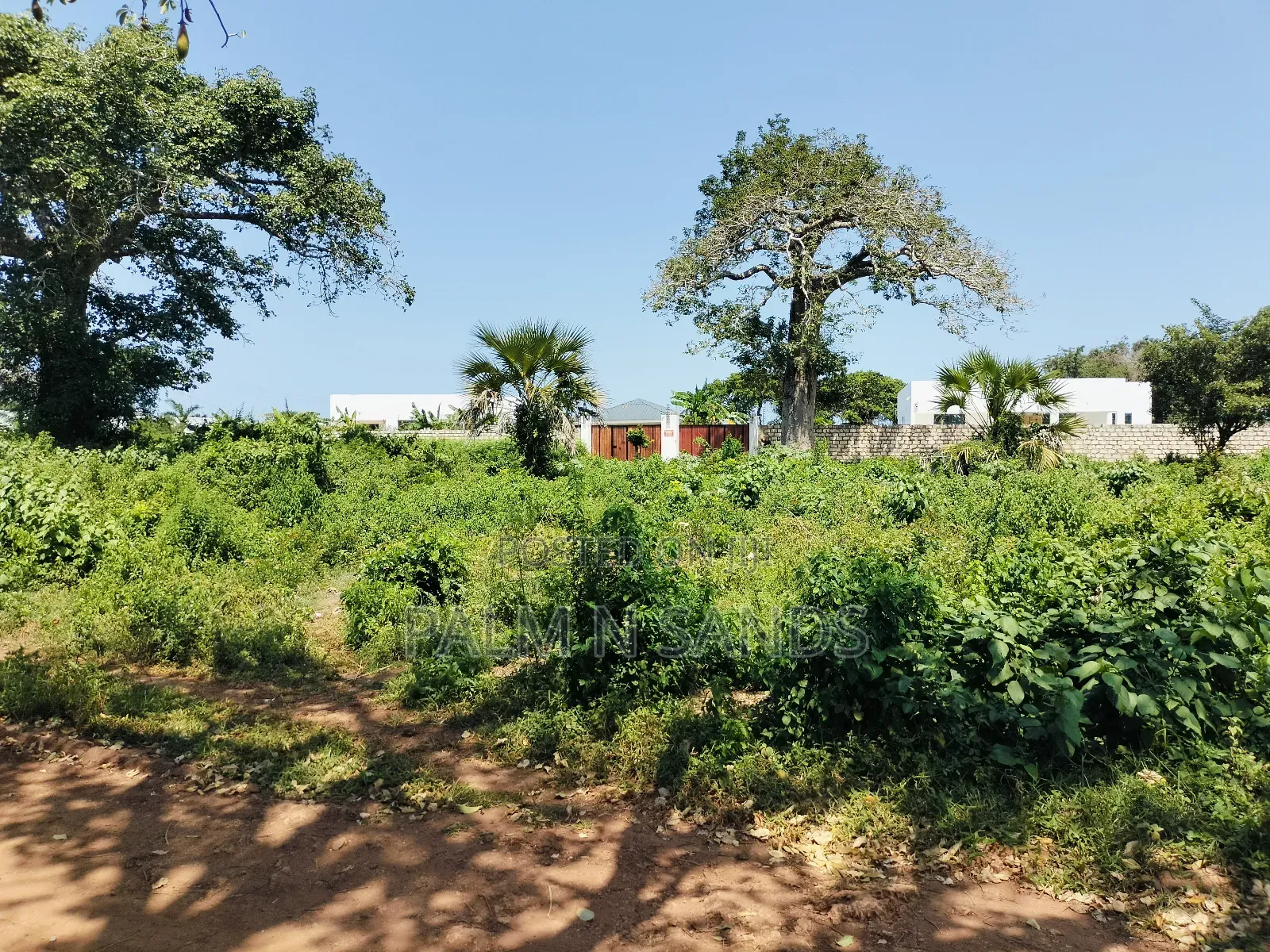 Two Prime Quarter Acre Plots Available in Galu! in Diani