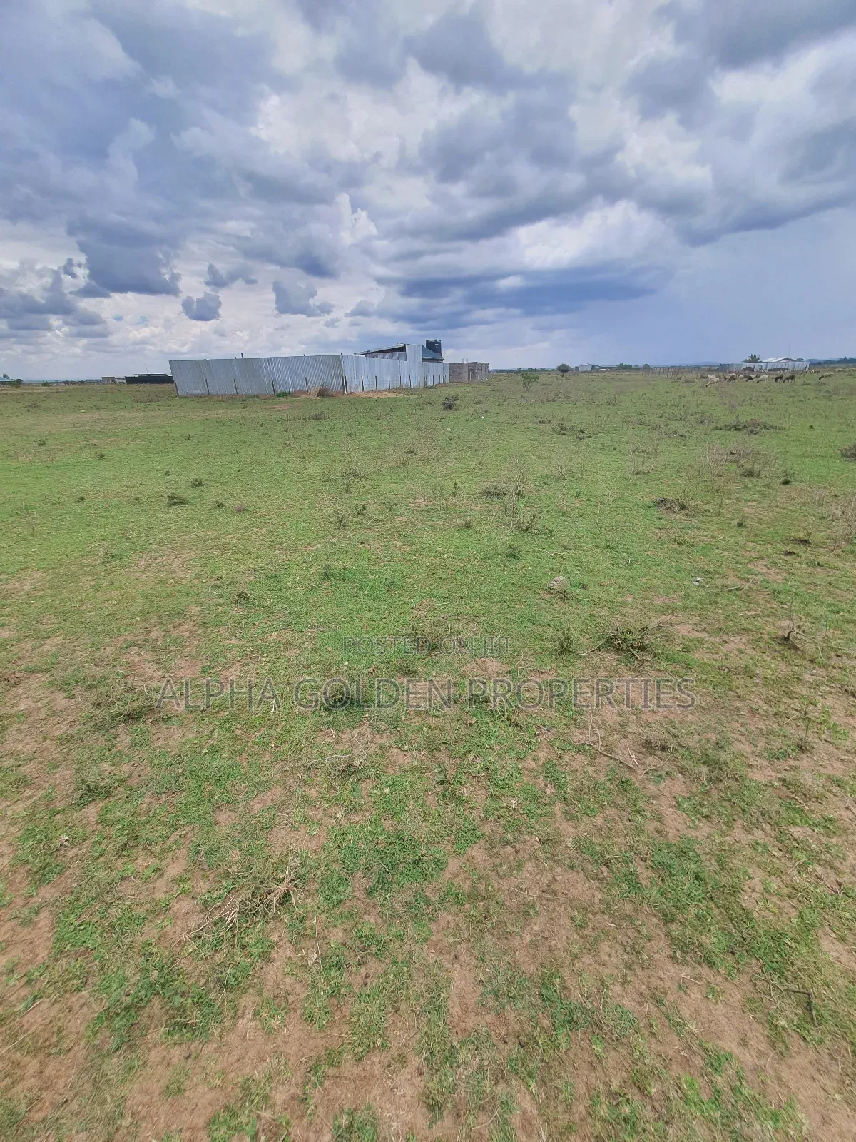 Nanyuki Taji Town Plots in Nanyuki