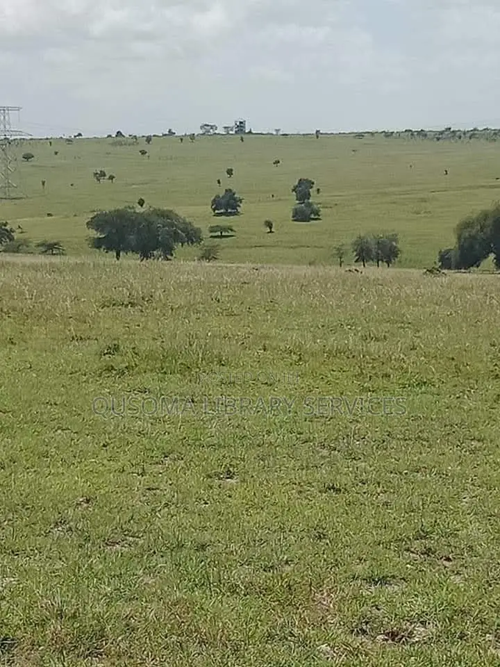 Kitengela Acacia – Your Gateway to Serene Living Smart Investment! in Kitengela