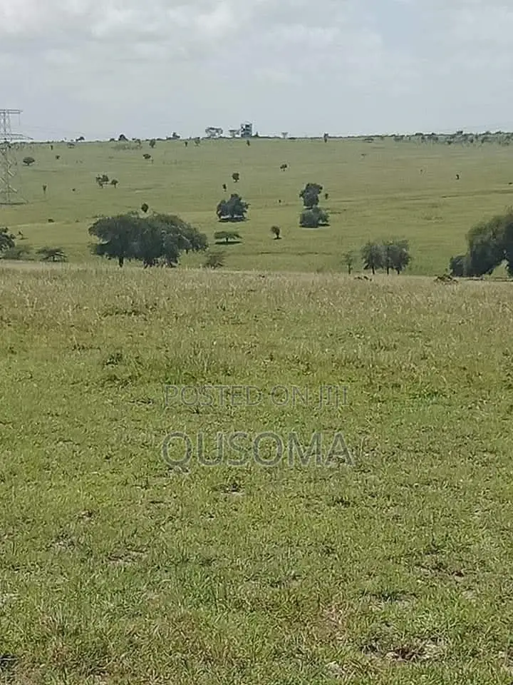 Kitengela Acacia – Your Gateway to Serene Living Smart Investment! in Kitengela