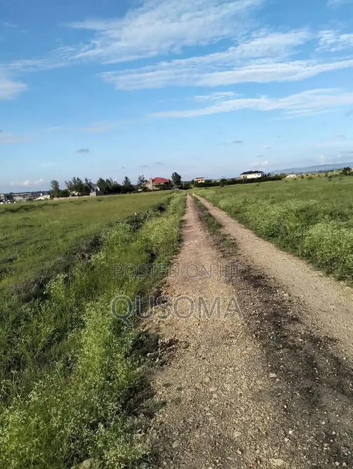 Kitengela Acacia – Your Gateway to Serene Living Smart Investment! in Kitengela