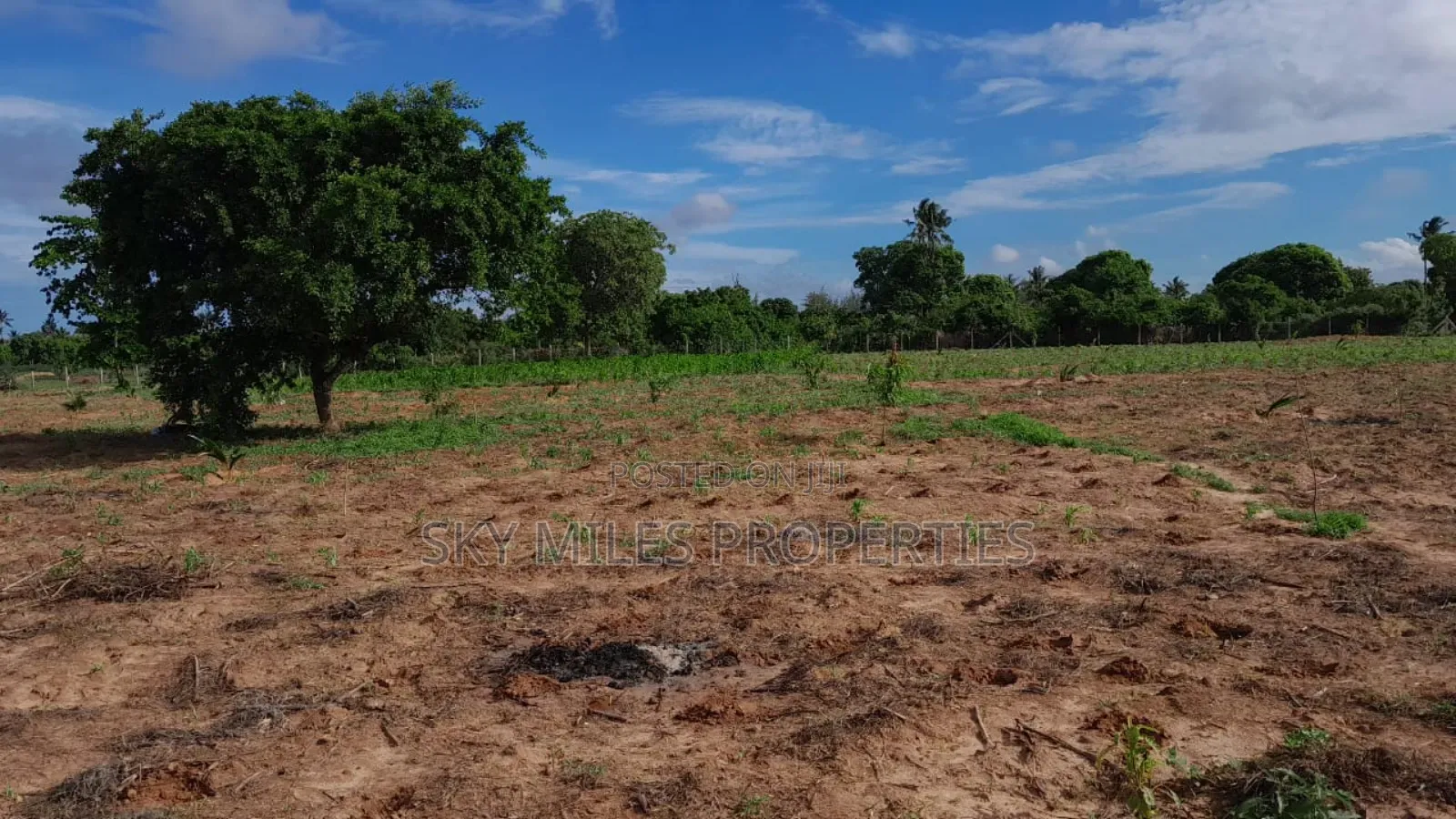 13-Acre Farm for Sale- Majaoni in Shanzu
