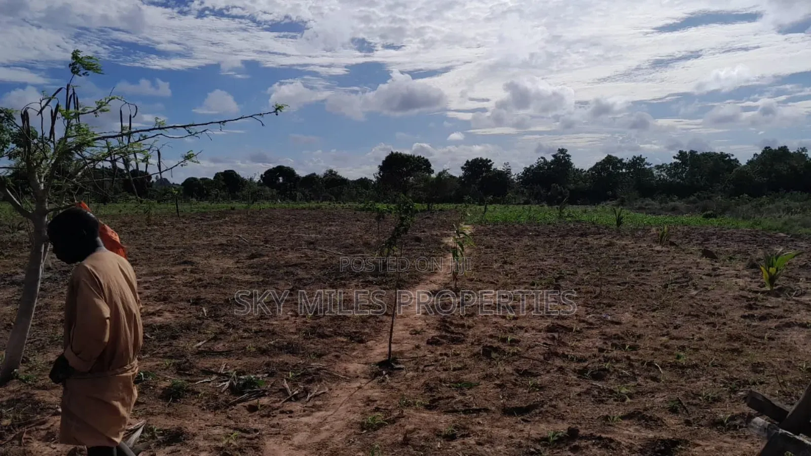13-Acre Farm for Sale- Majaoni in Shanzu