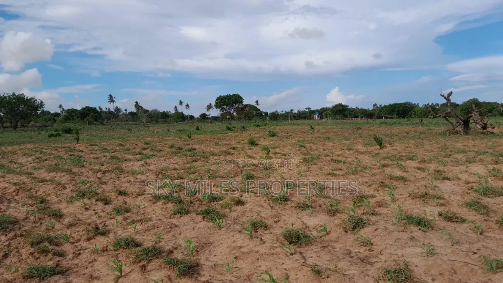 13-Acre Farm for Sale- Majaoni in Shanzu
