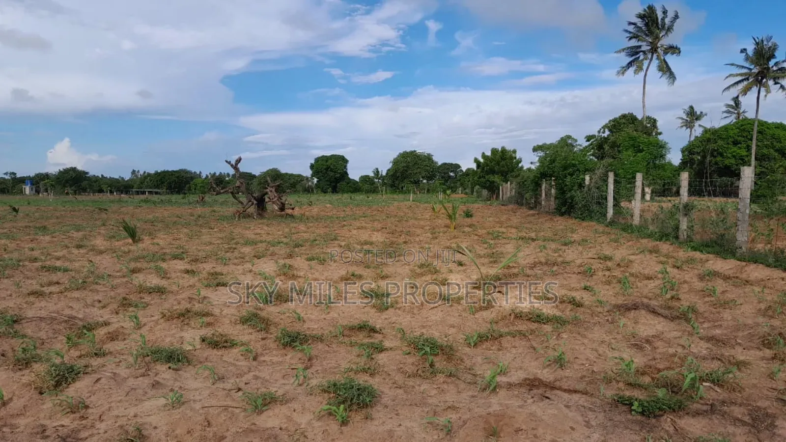 13-Acre Farm for Sale- Majaoni in Shanzu