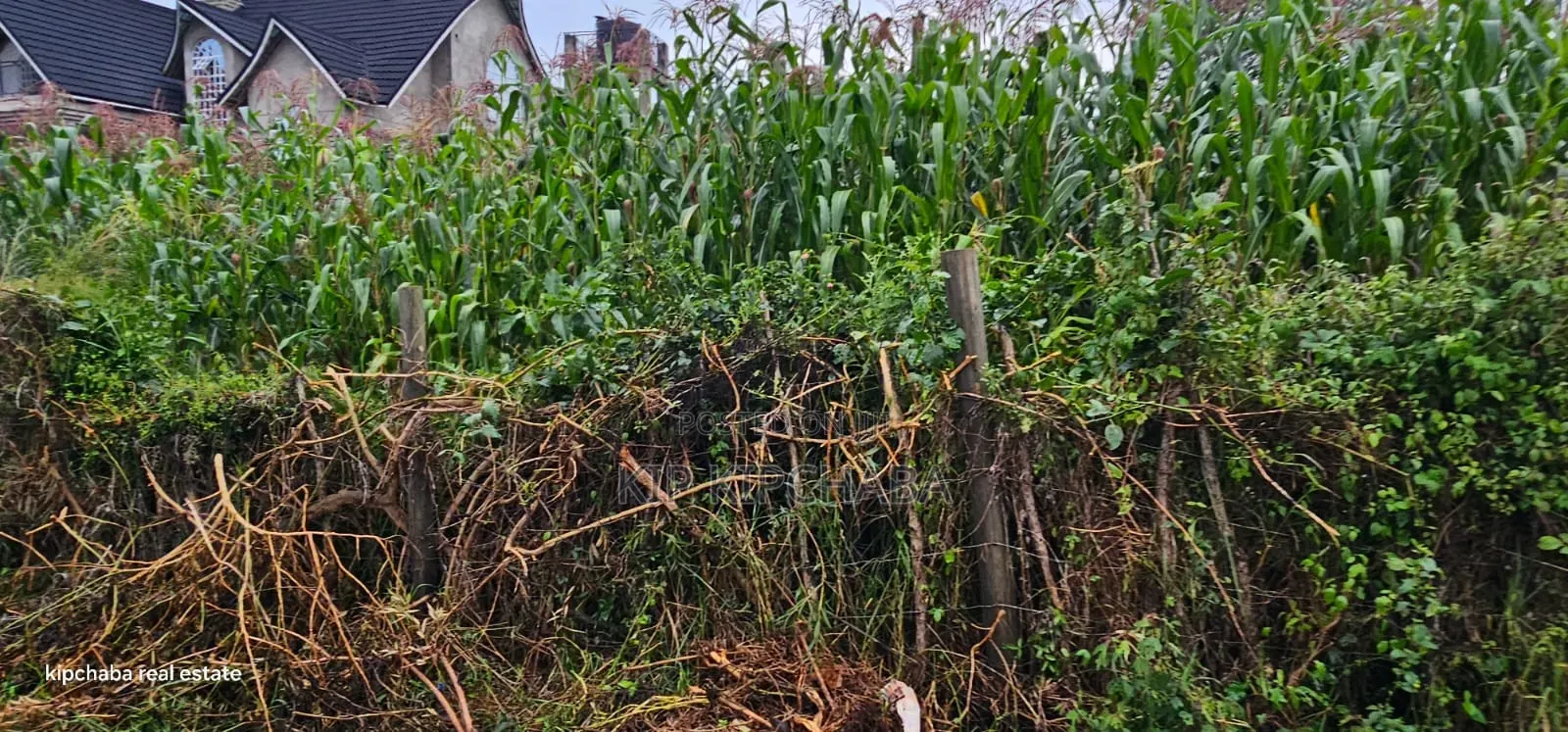 1⁄4 Plot for Sale in Hillside Eldoret in Hillside