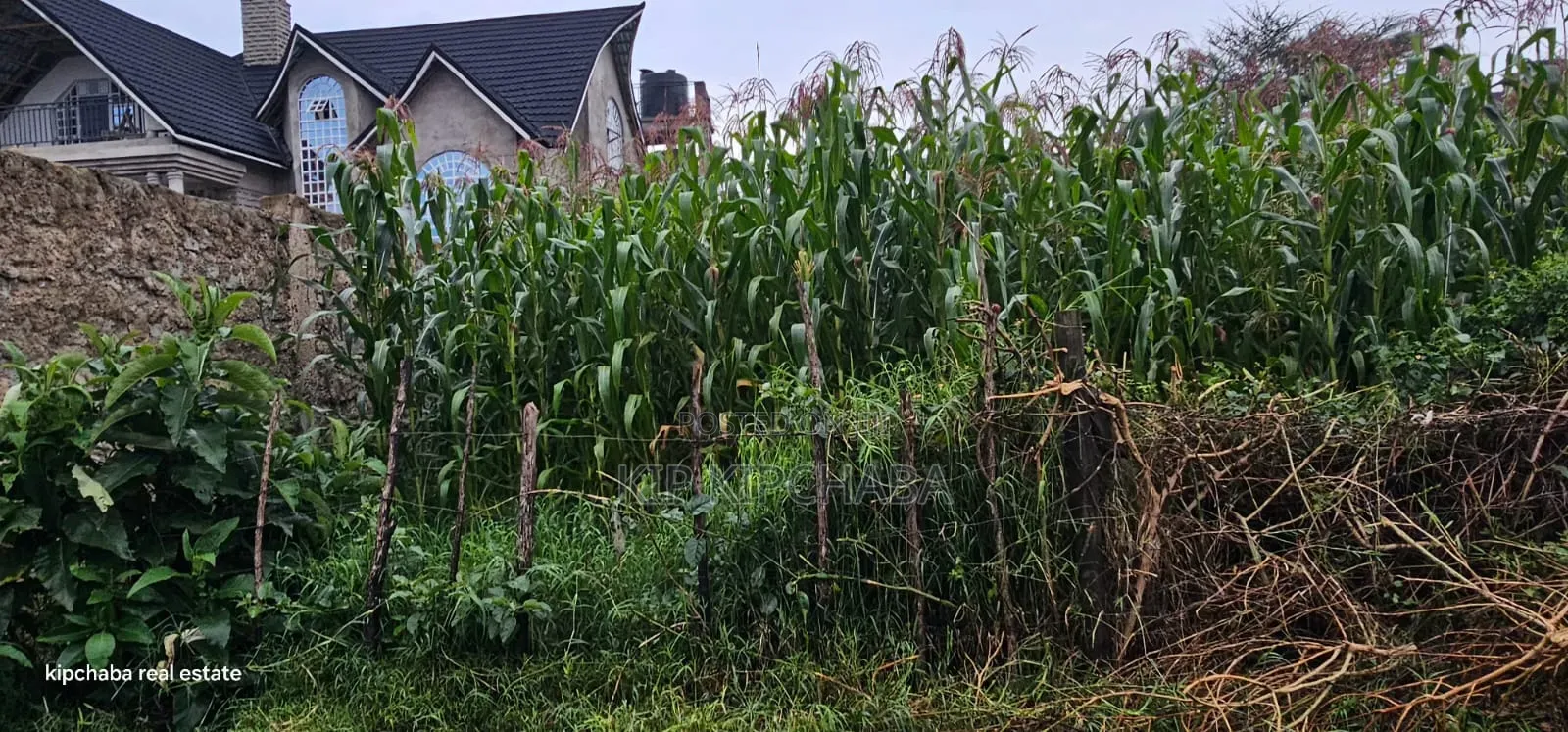 1⁄4 Plot for Sale in Hillside Eldoret in Hillside