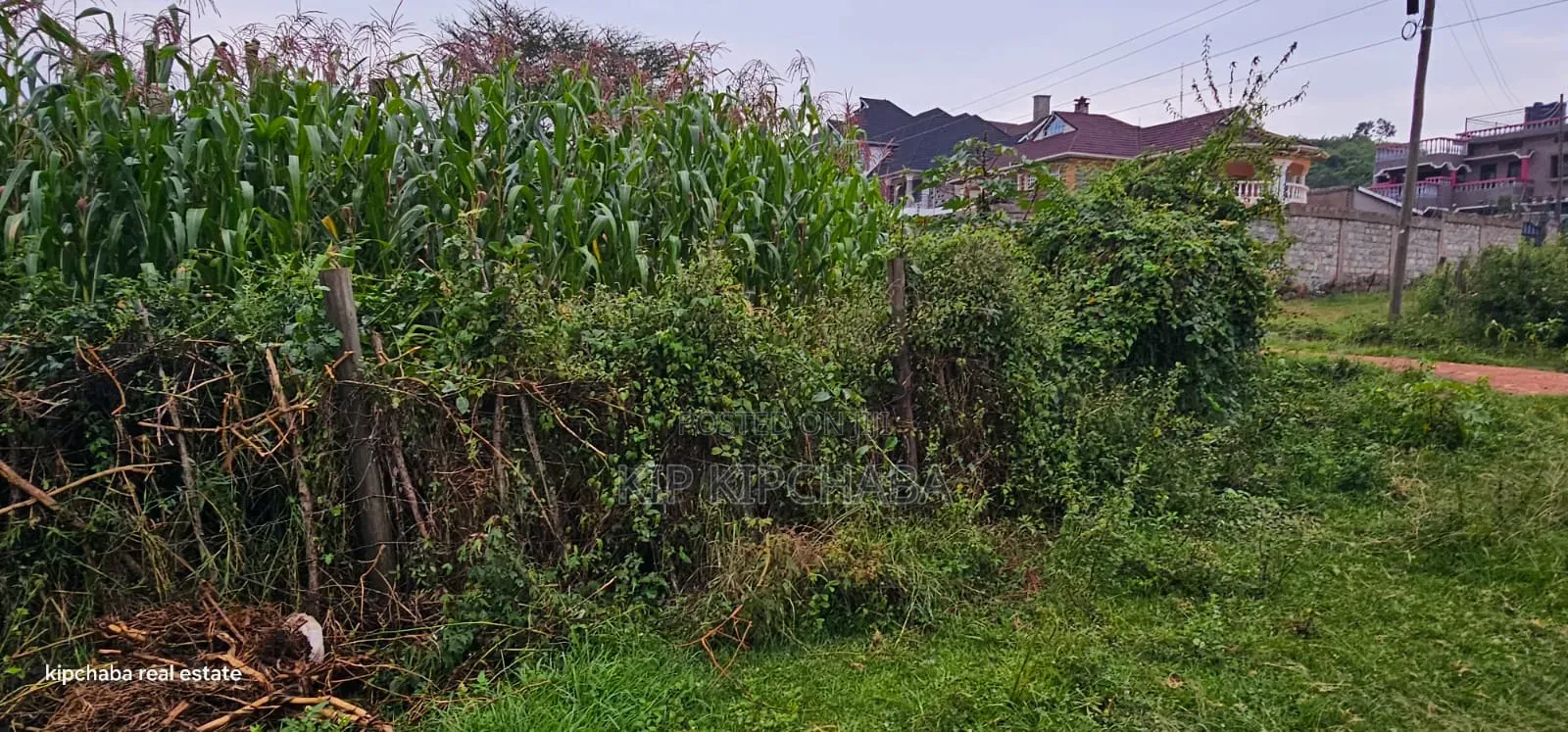 1⁄4 Plot for Sale in Hillside Eldoret in Hillside