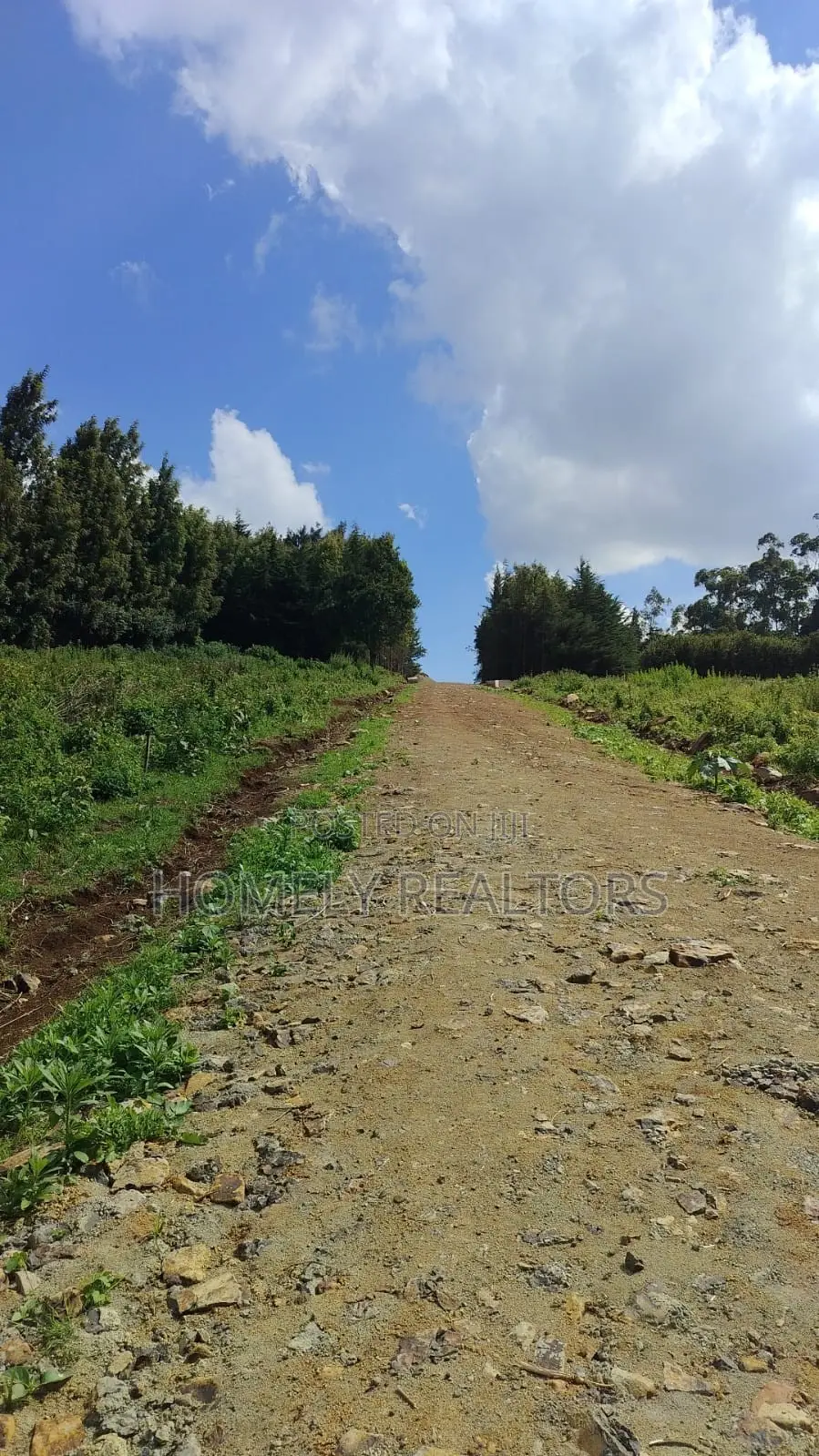 Eighth-Acre and Quarter-Acre Plots on Sale in Ngong Along Lemiso Rd in Ngong
