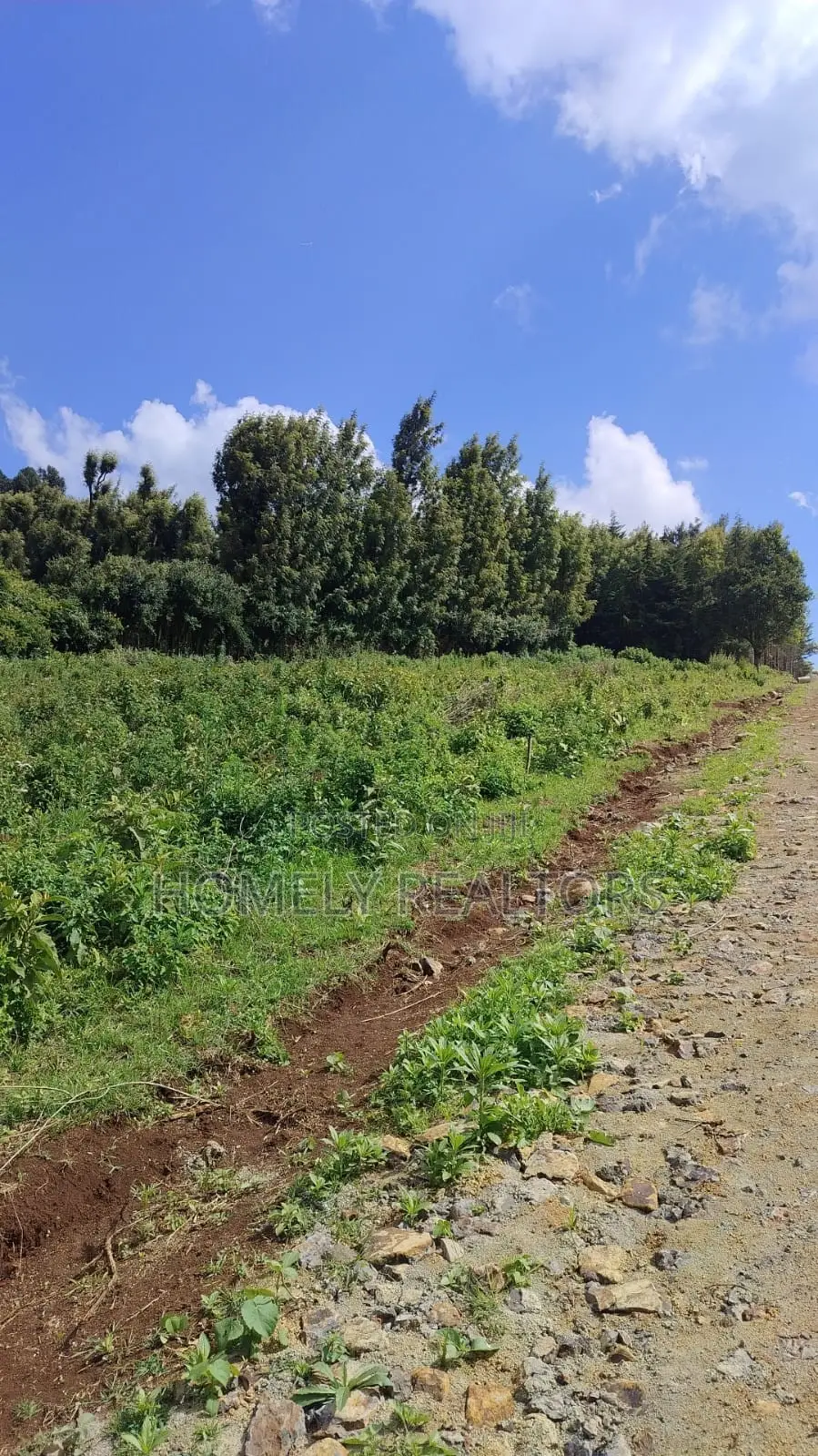 Eighth-Acre and Quarter-Acre Plots on Sale in Ngong Along Lemiso Rd in Ngong