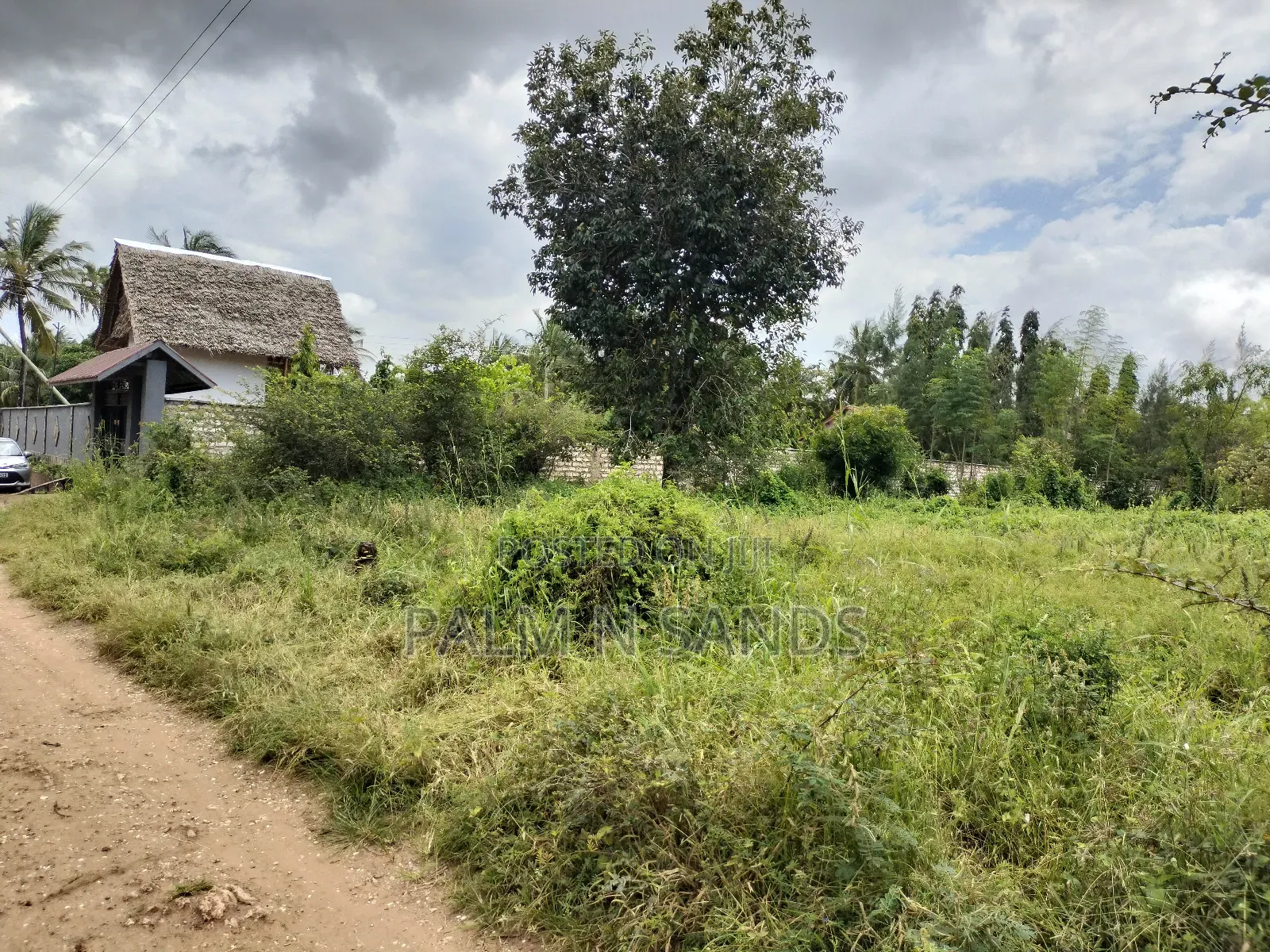 Prime Plot Up for Grabs in Diani. in Diani