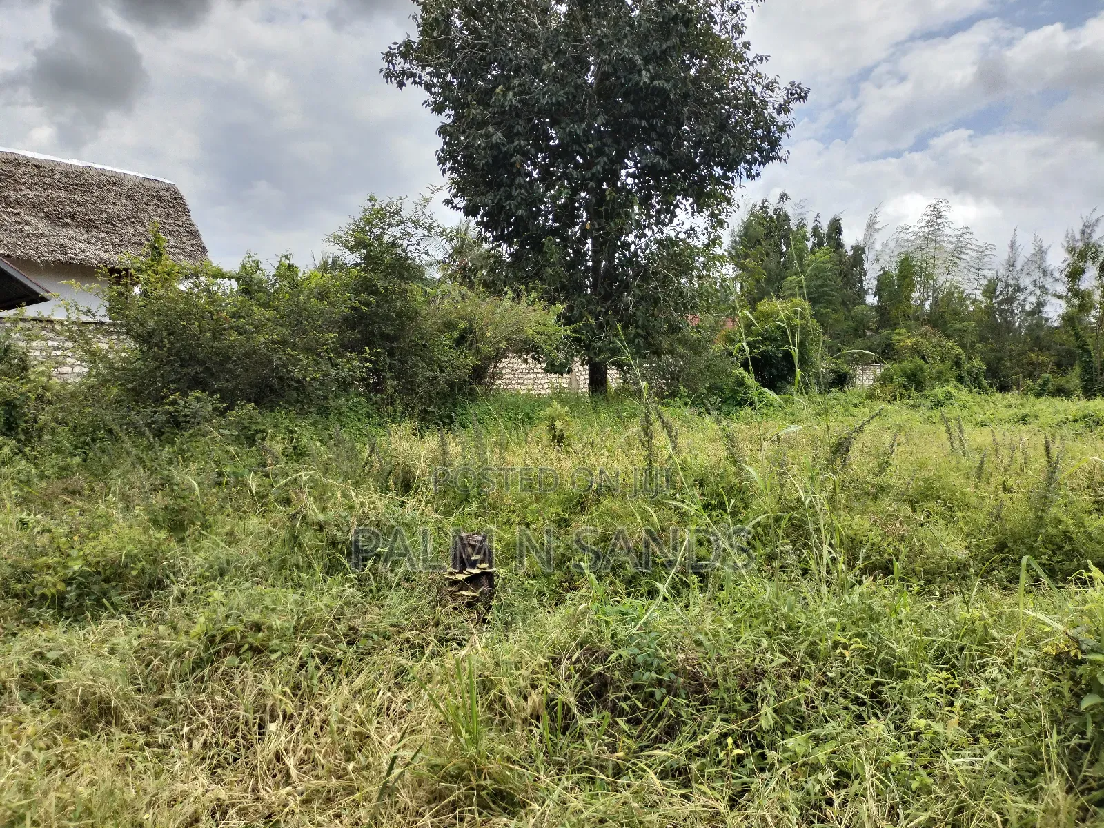 Prime Plot Up for Grabs in Diani. in Diani