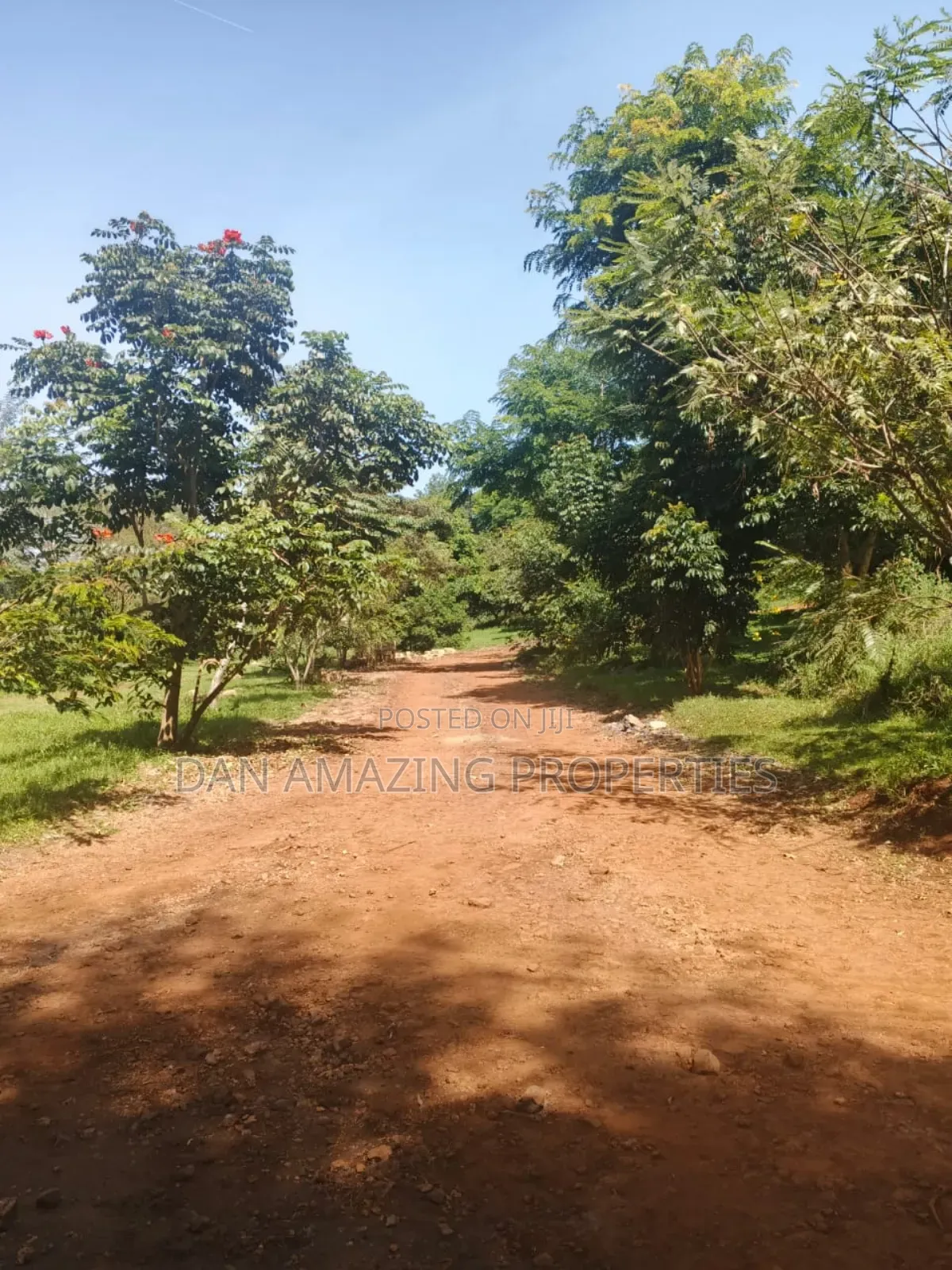 100 by 100 Fully Serviced Plots in Ngong for Sale Purely Residential in Ngong