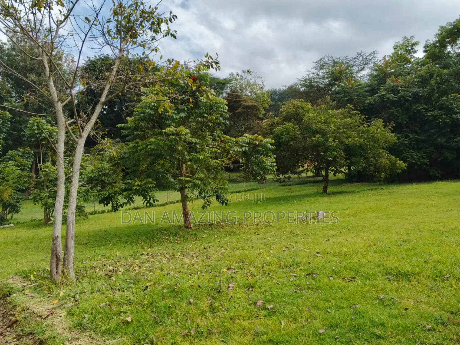 100 by 100 Fully Serviced Plots in Ngong for Sale Purely Residential in Ngong