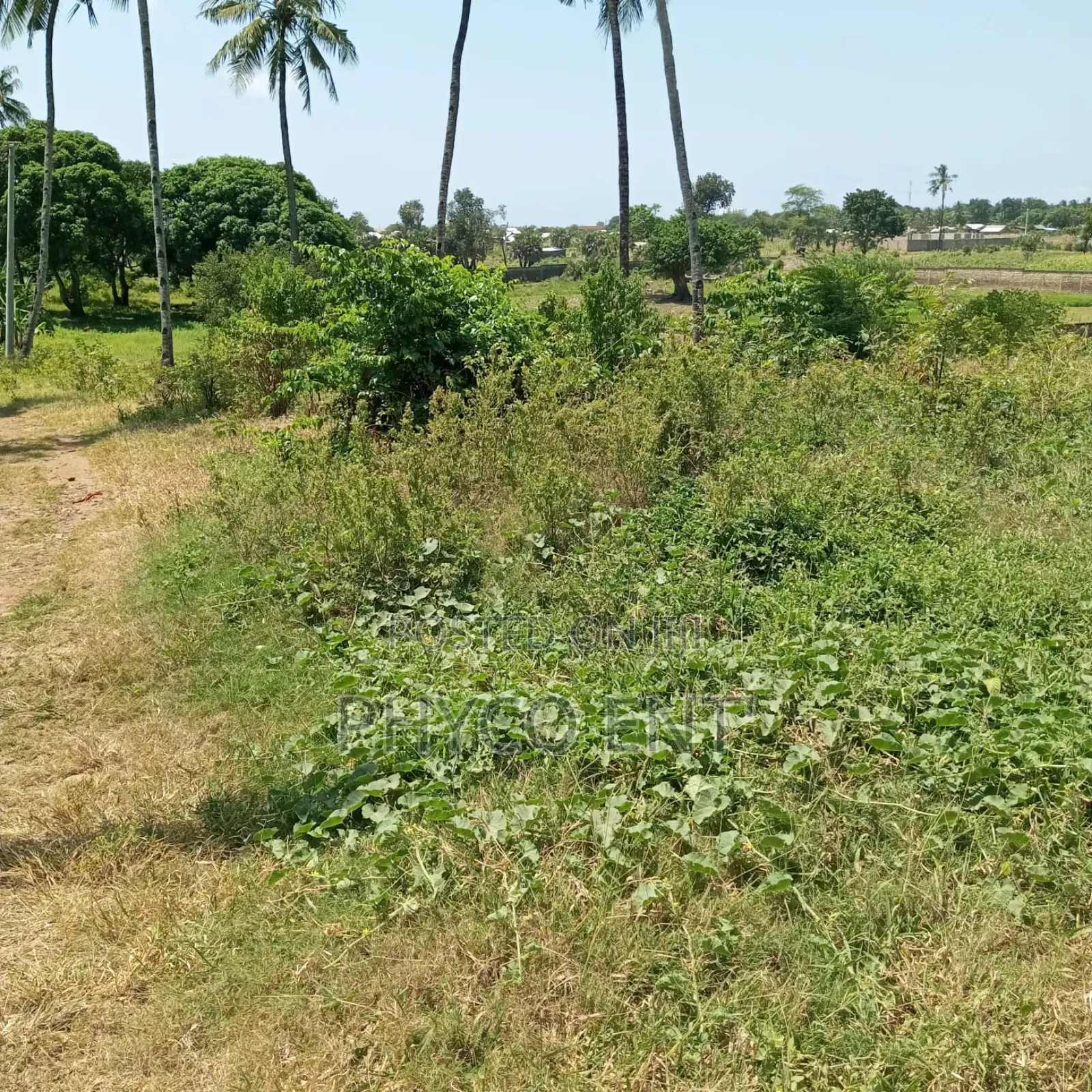 Land for Sale in Kikambala