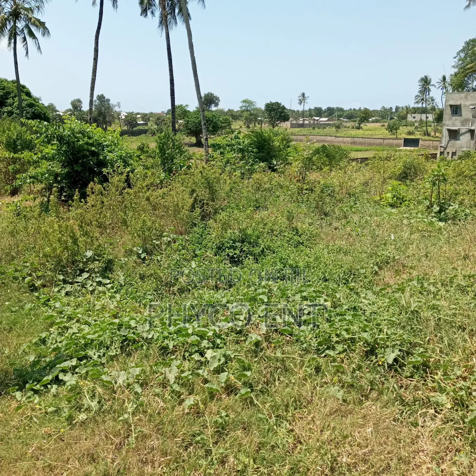 Land for Sale in Kikambala