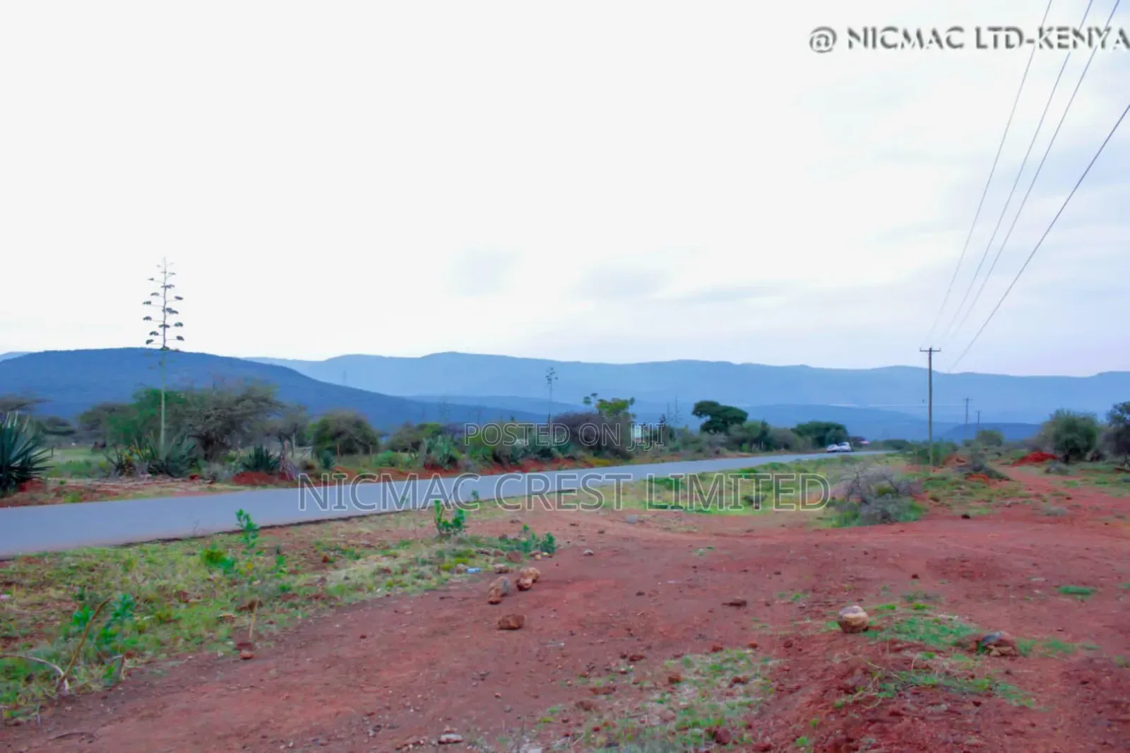 50 by 100 Plots for Sale in Ewaso Kendong