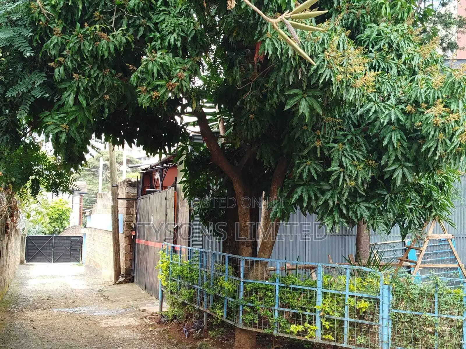 Land for Sale in Upper Hill in Milimani